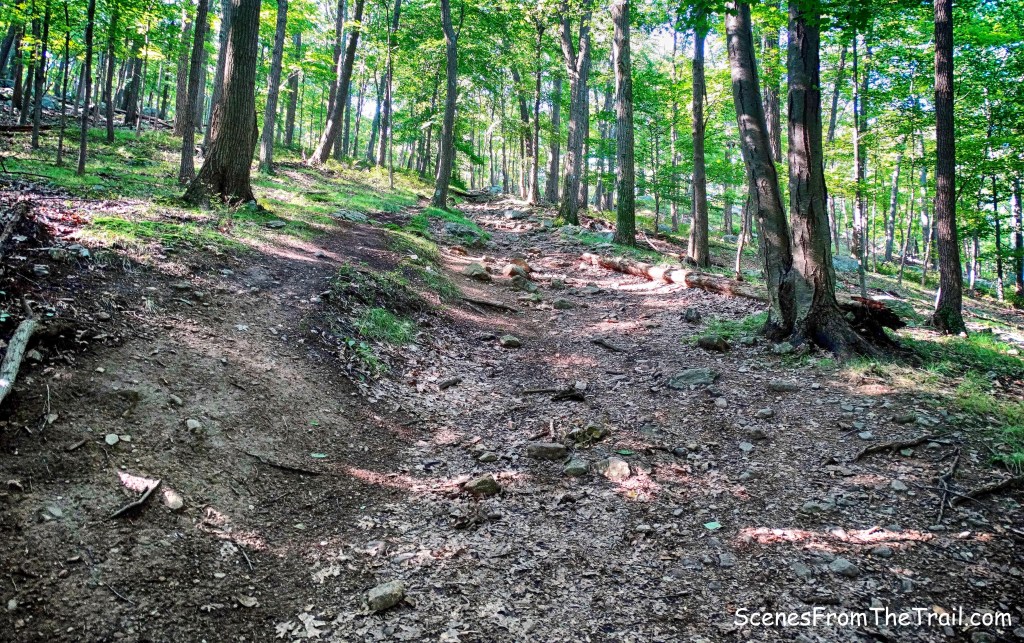 Diamond Mountain Loop from Lake Sebago Boat Launch Harriman State Park