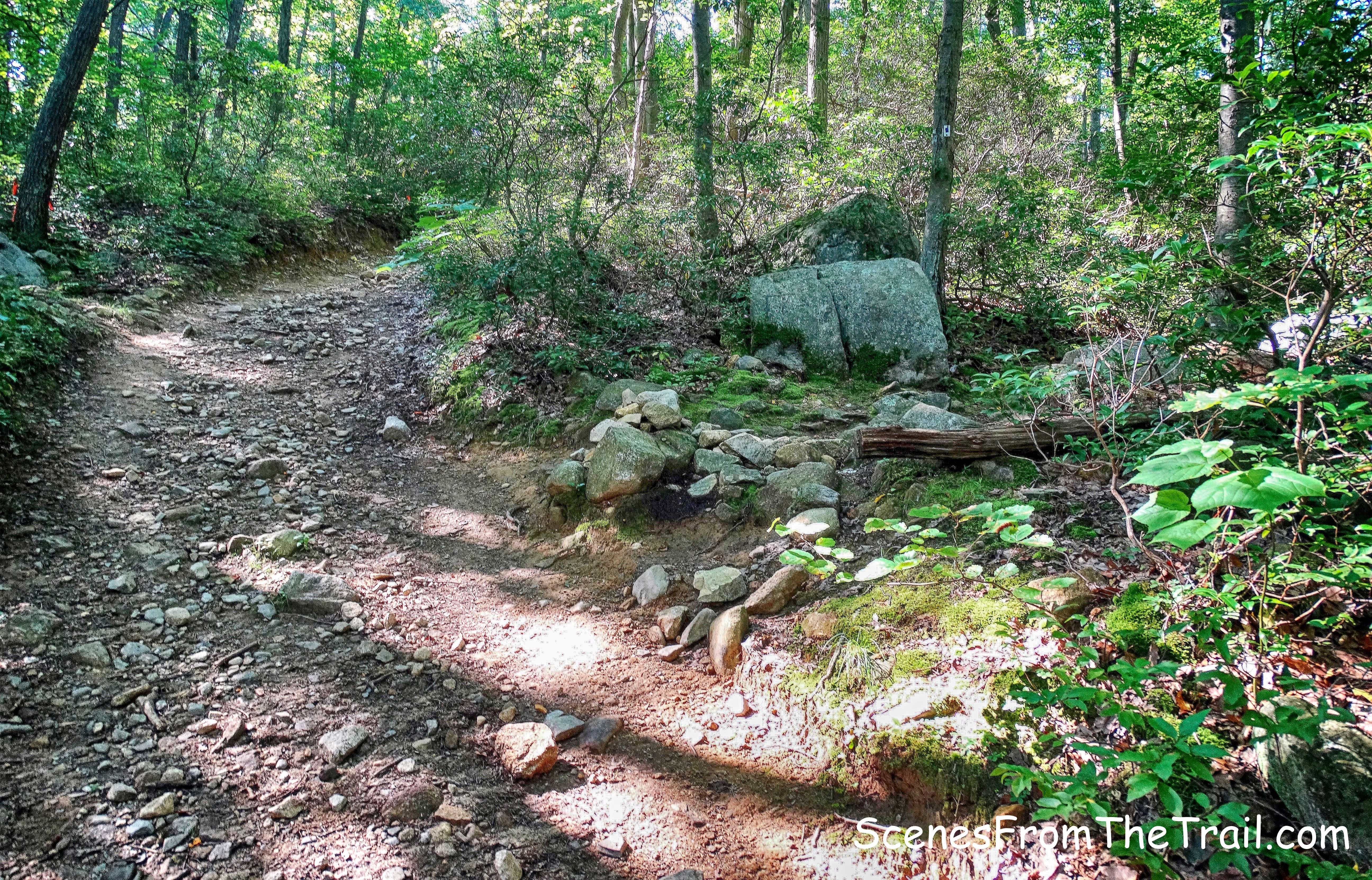 right to stay on 7H Trail