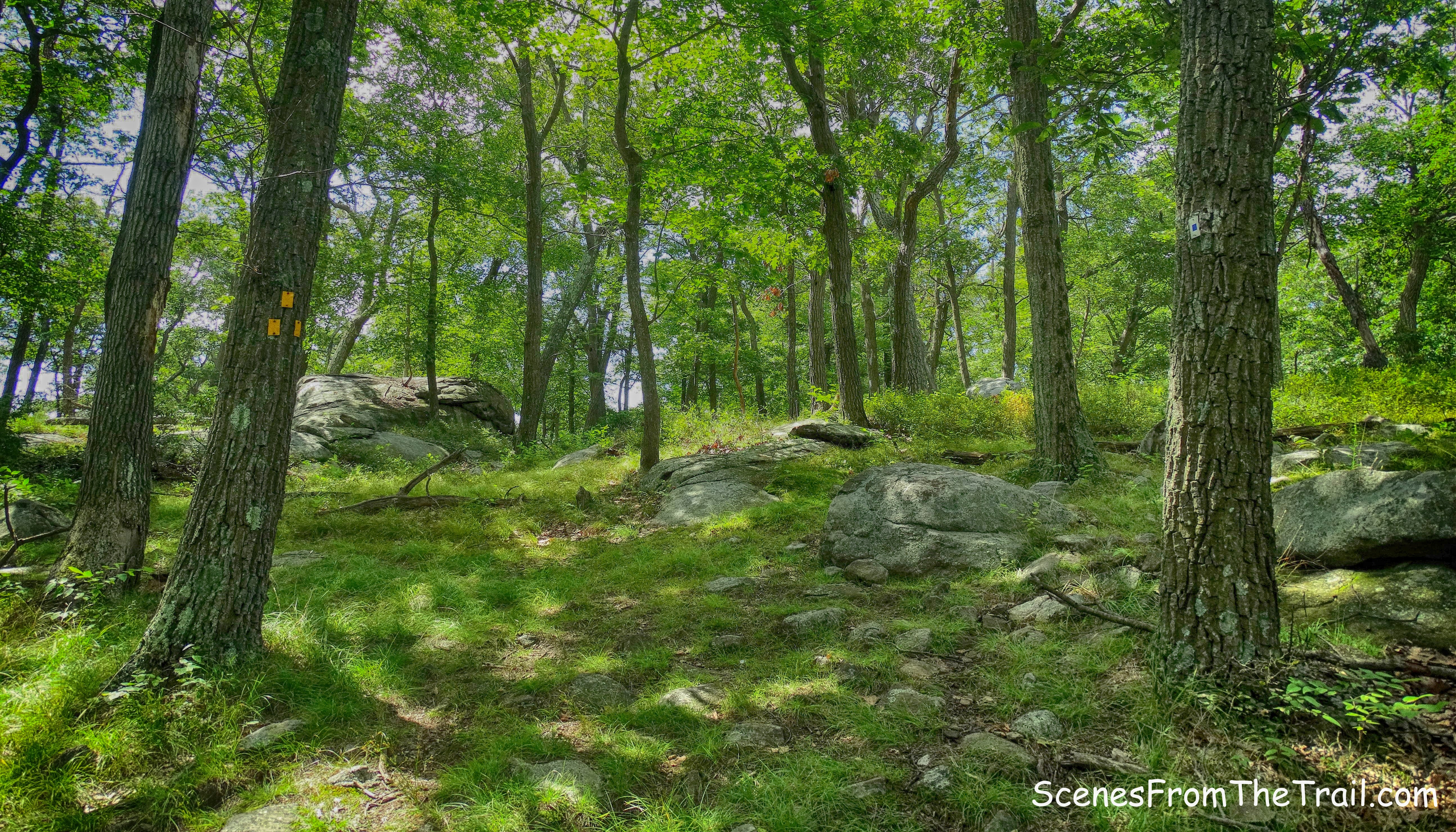 turn left onto Diamond Mountain-Tower Trail
