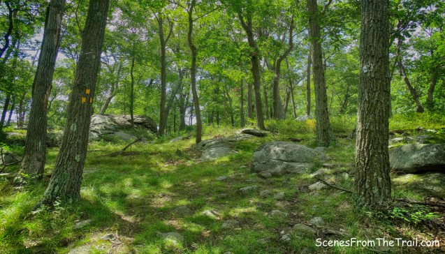 turn left onto Diamond Mountain-Tower Trail