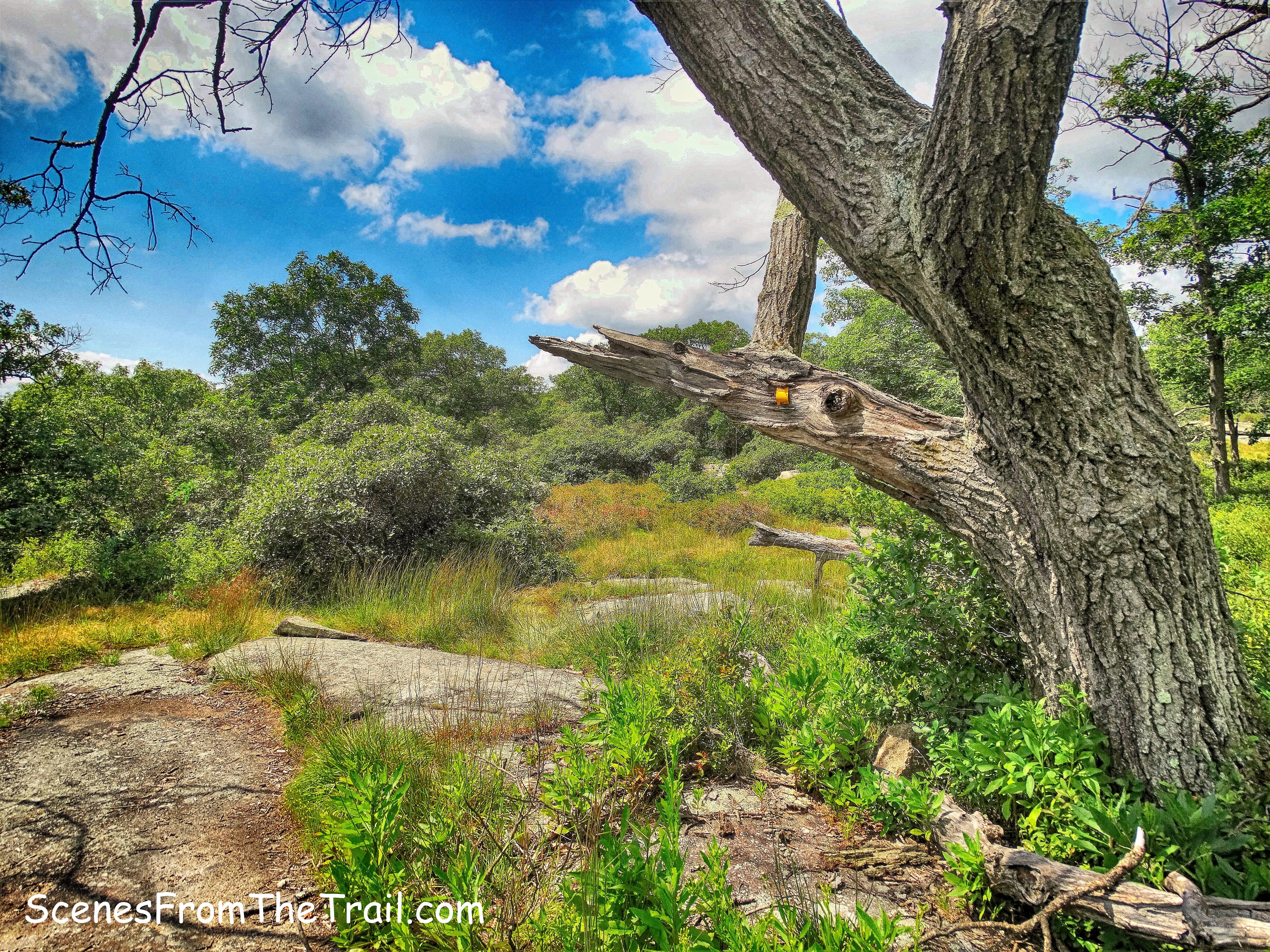 Diamond Mountain-Tower Trail