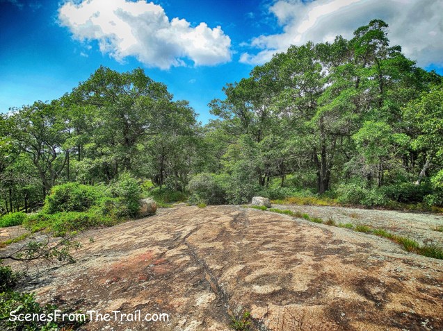 Diamond Mountain-Tower Trail