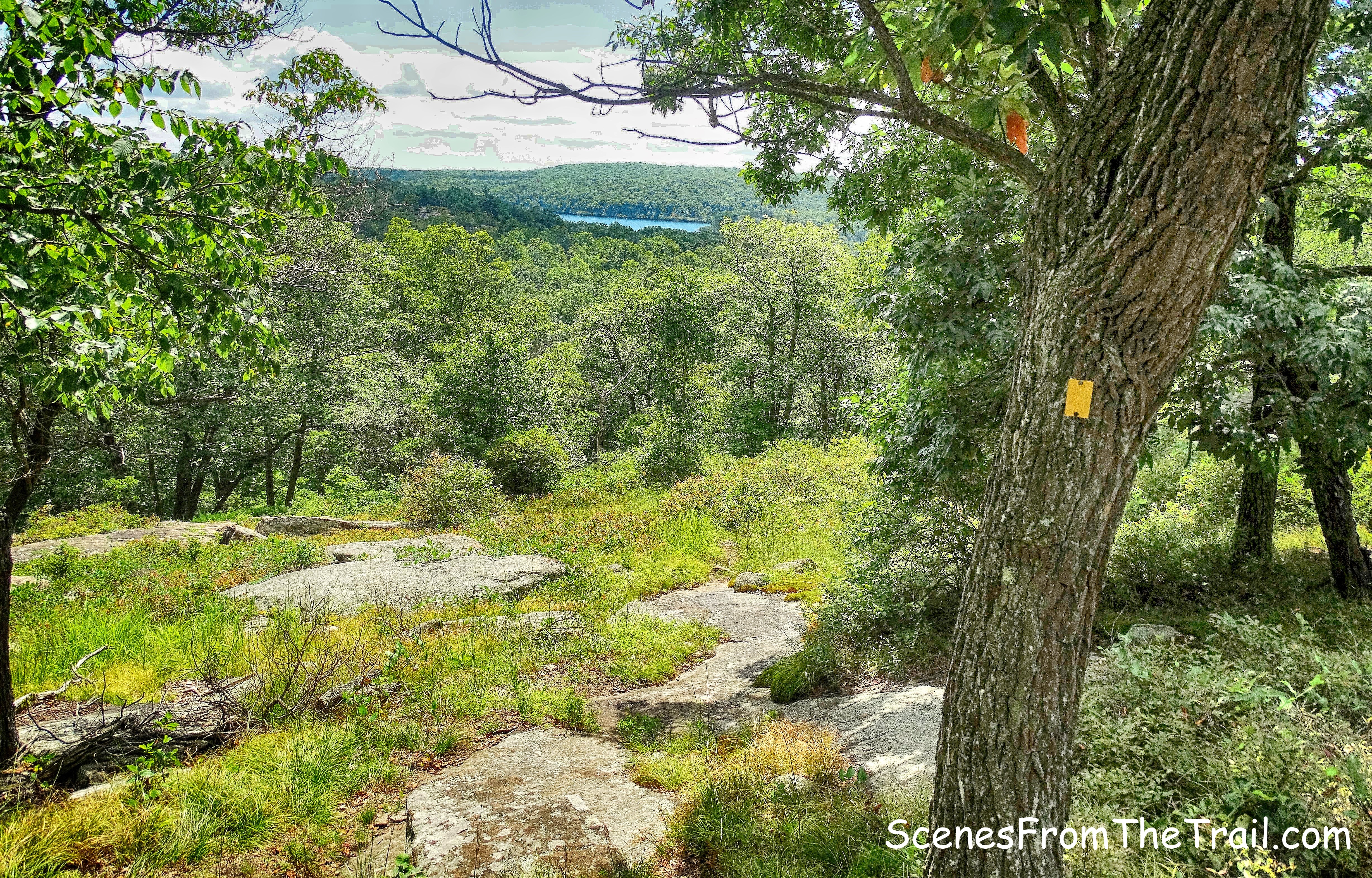 view of Lake Wanoksink from Diamond Mountain-Tower Trail