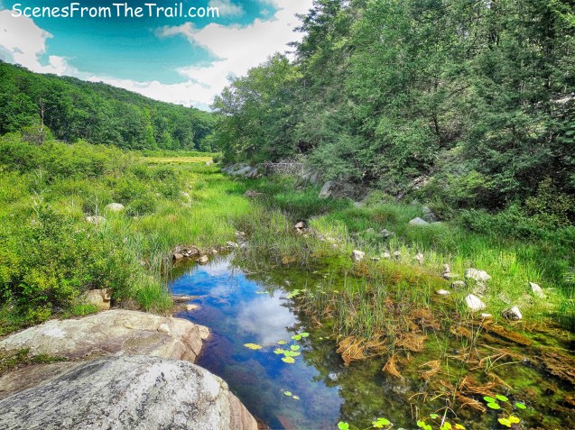 The swamp that would have been Lake Oonotookwa