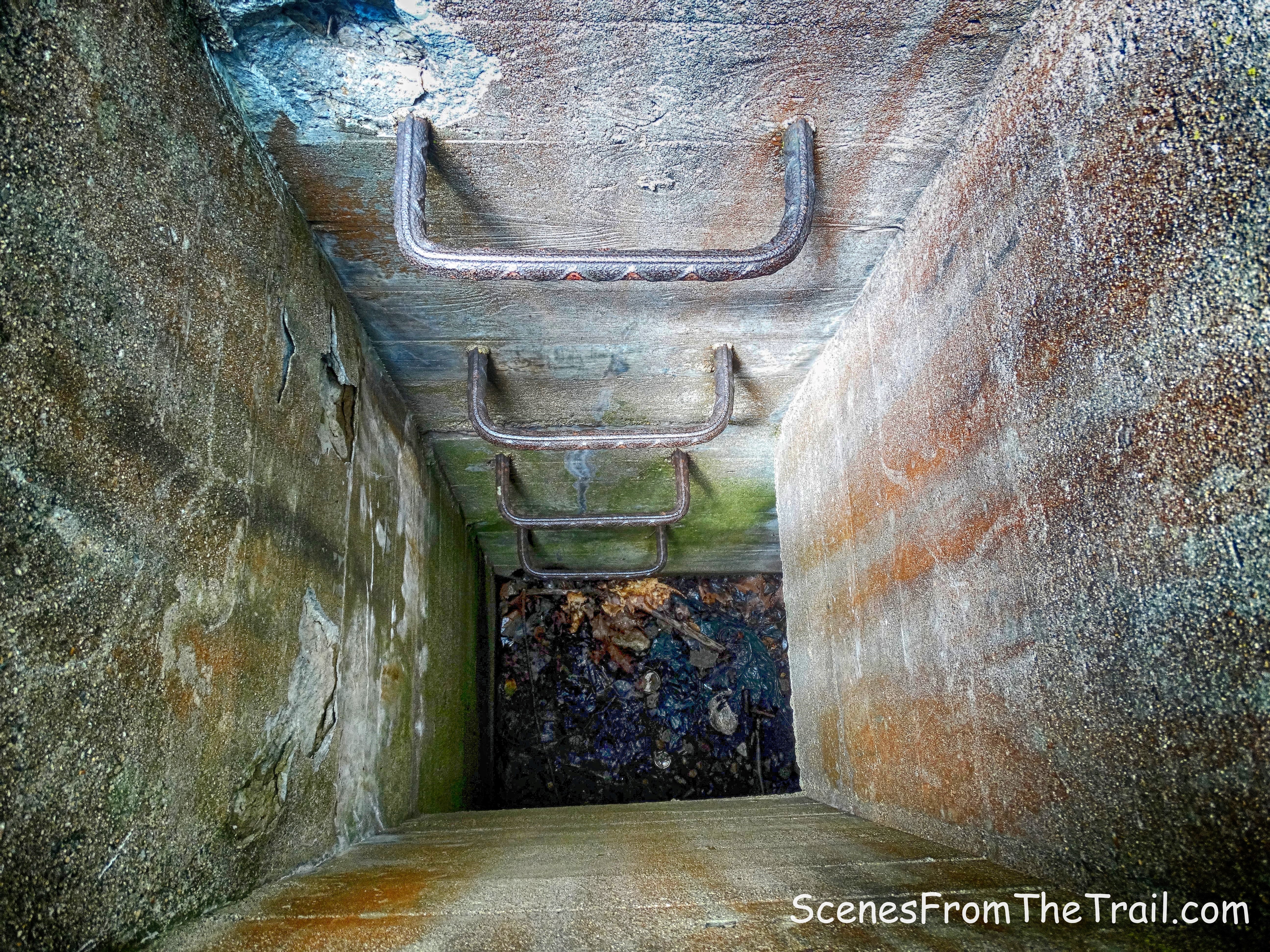 hollow chamber of the septic tank