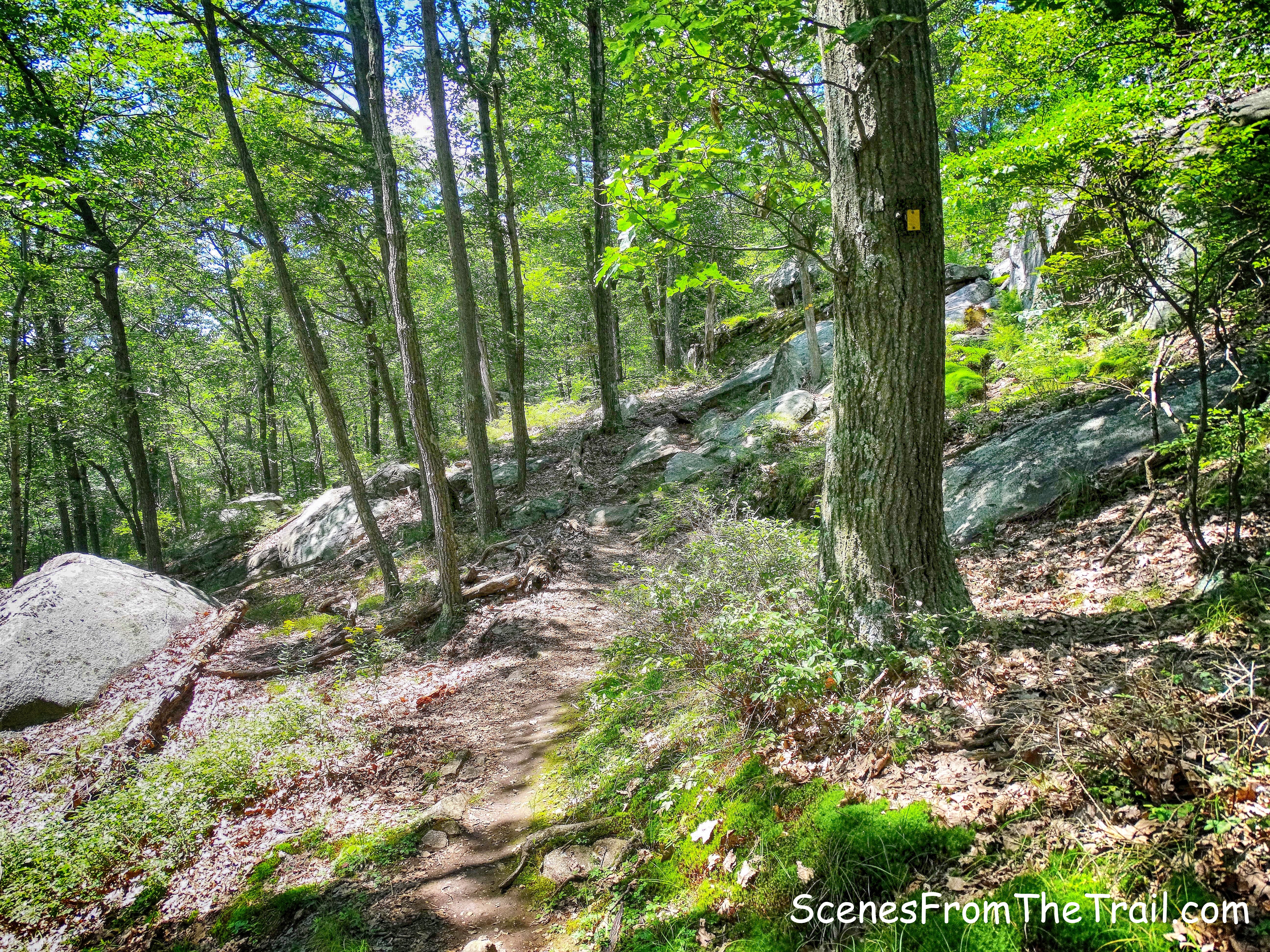 Diamond Mountain-Tower Trail