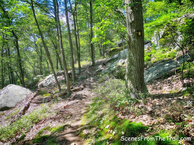 Diamond Mountain-Tower Trail