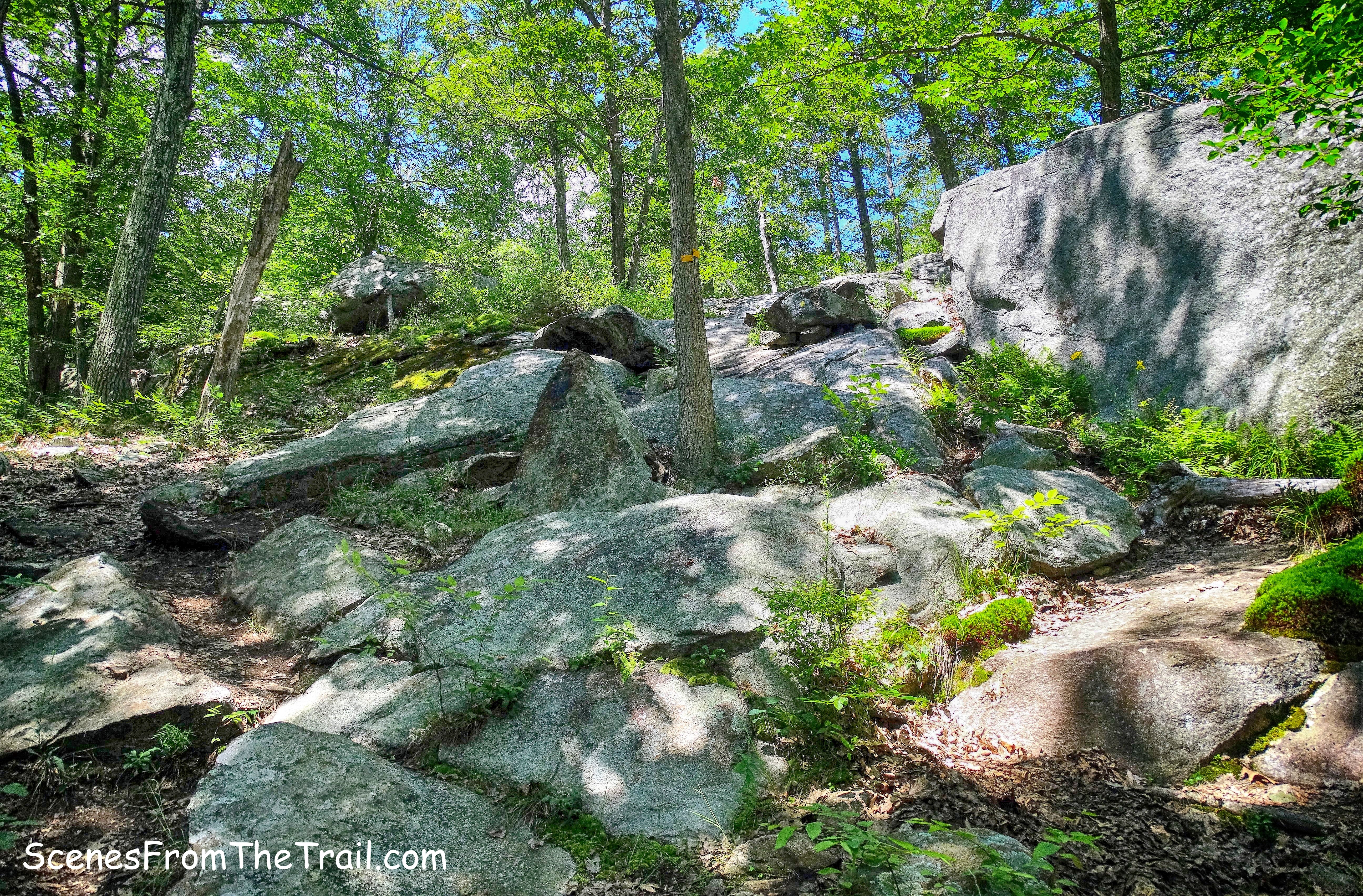 Diamond Mountain-Tower Trail
