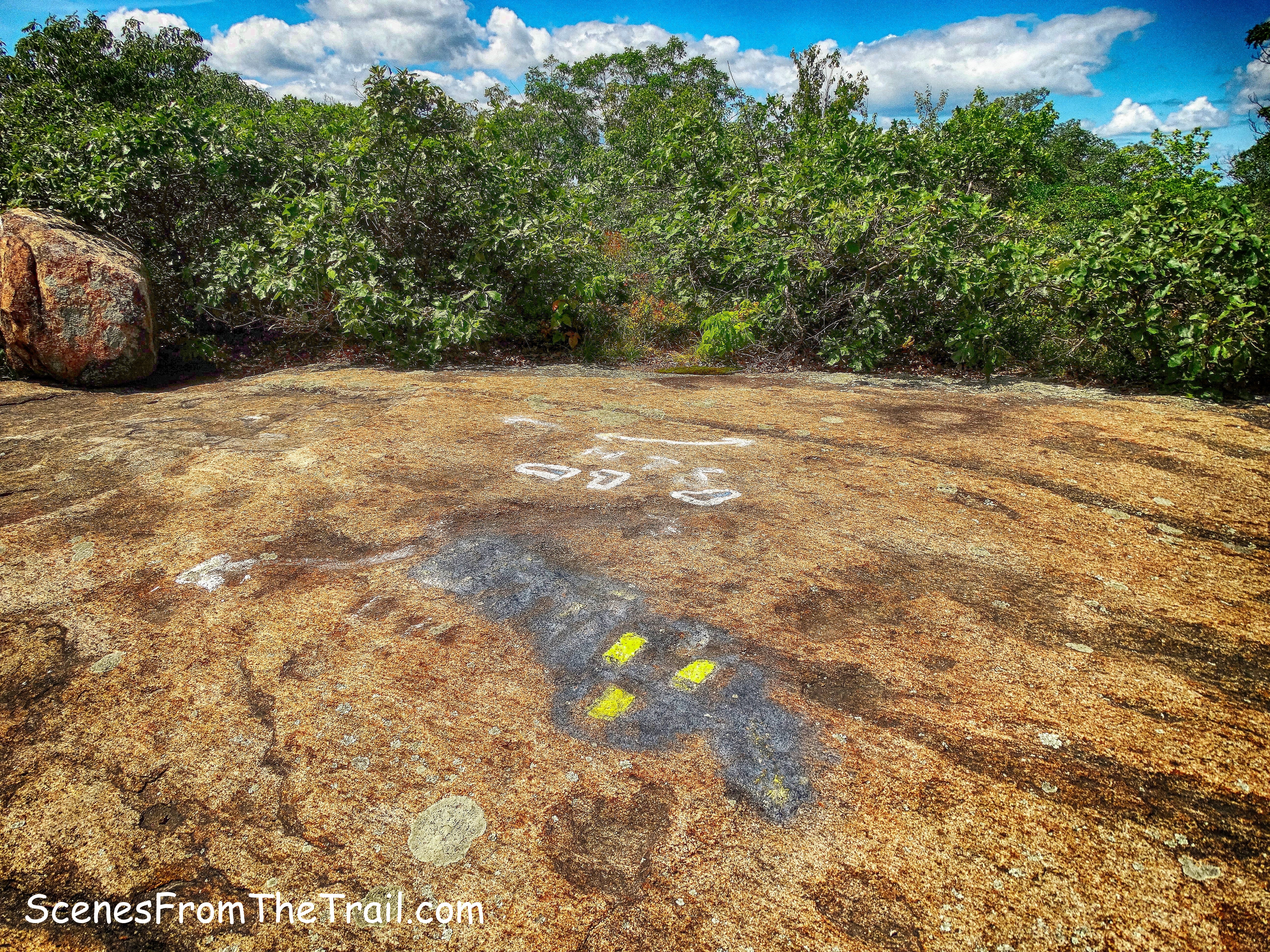 terminus of the Diamond Mountain-Tower Trail