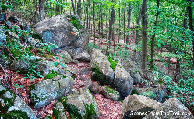 orange-blazed Hillburn-Torne-Sebago Trail