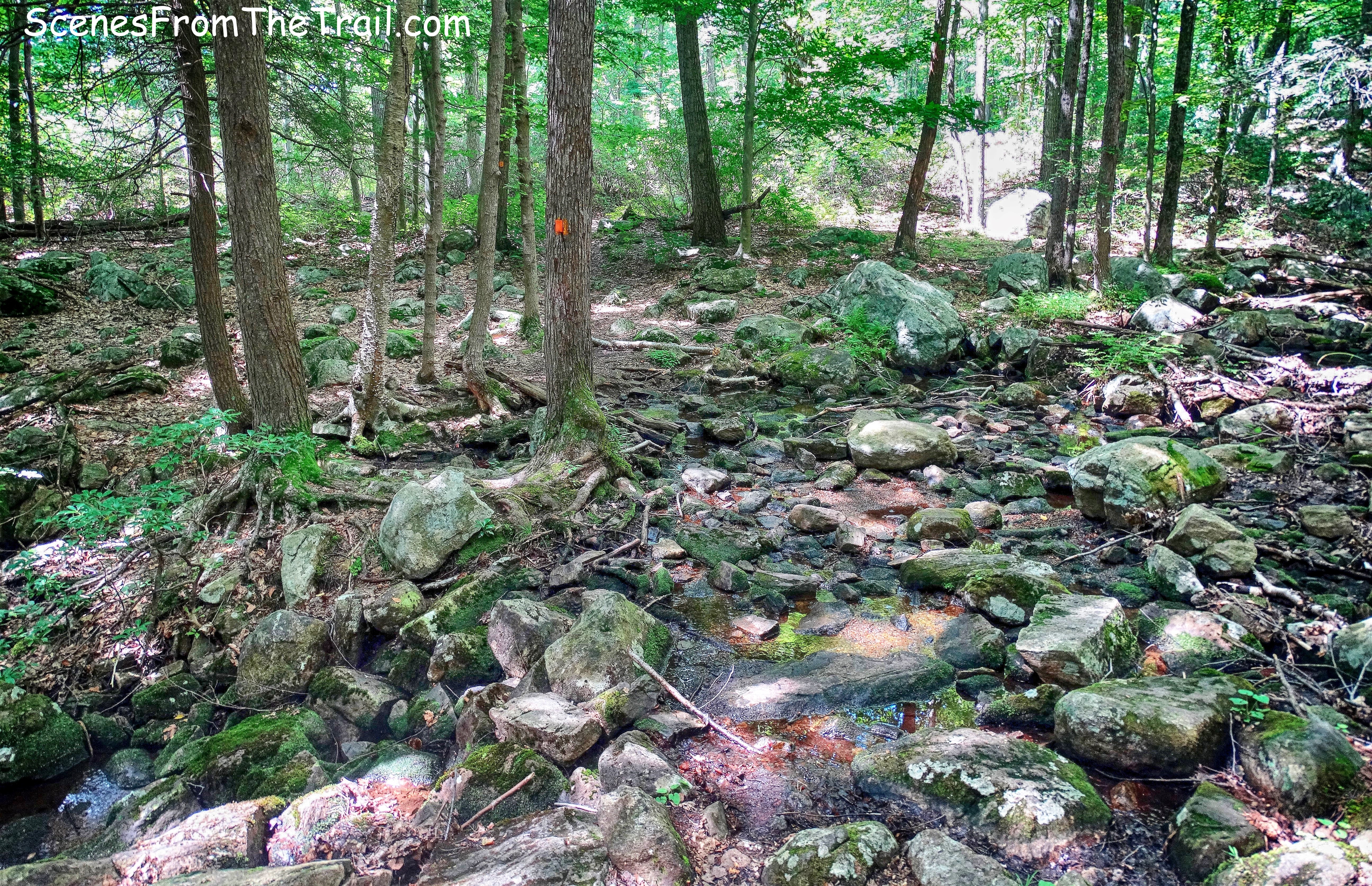 Hillburn-Torne-Sebago Trail