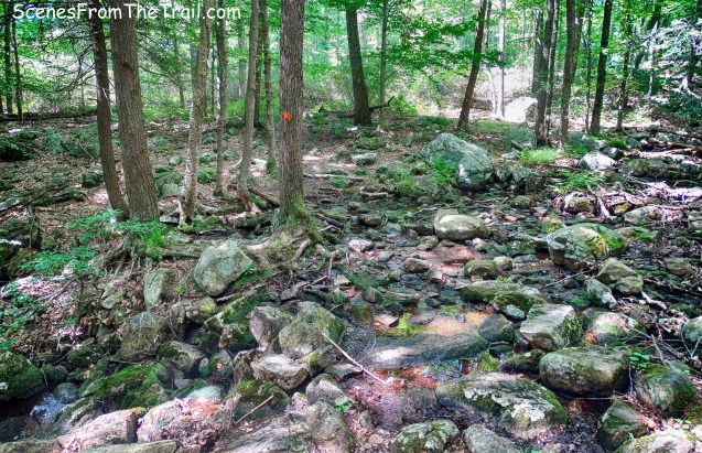 Hillburn-Torne-Sebago Trail