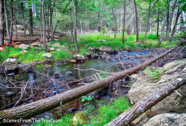 Stony Brook alongside Hillburn-Torne-Sebago Trail