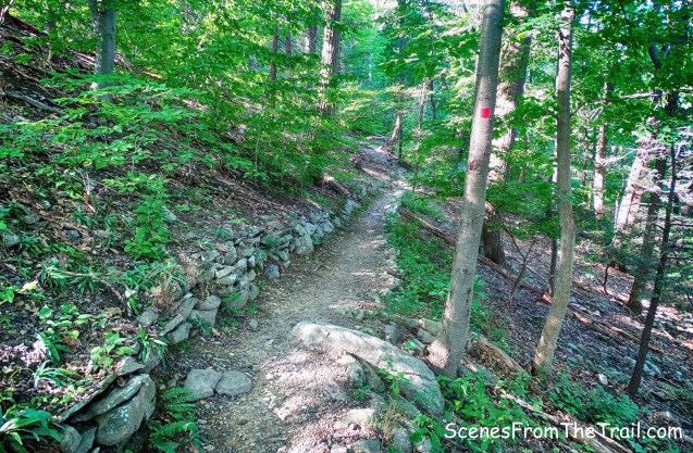 red-blazed Duggan Trail