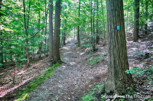 blue-blazed Reservoir Trail
