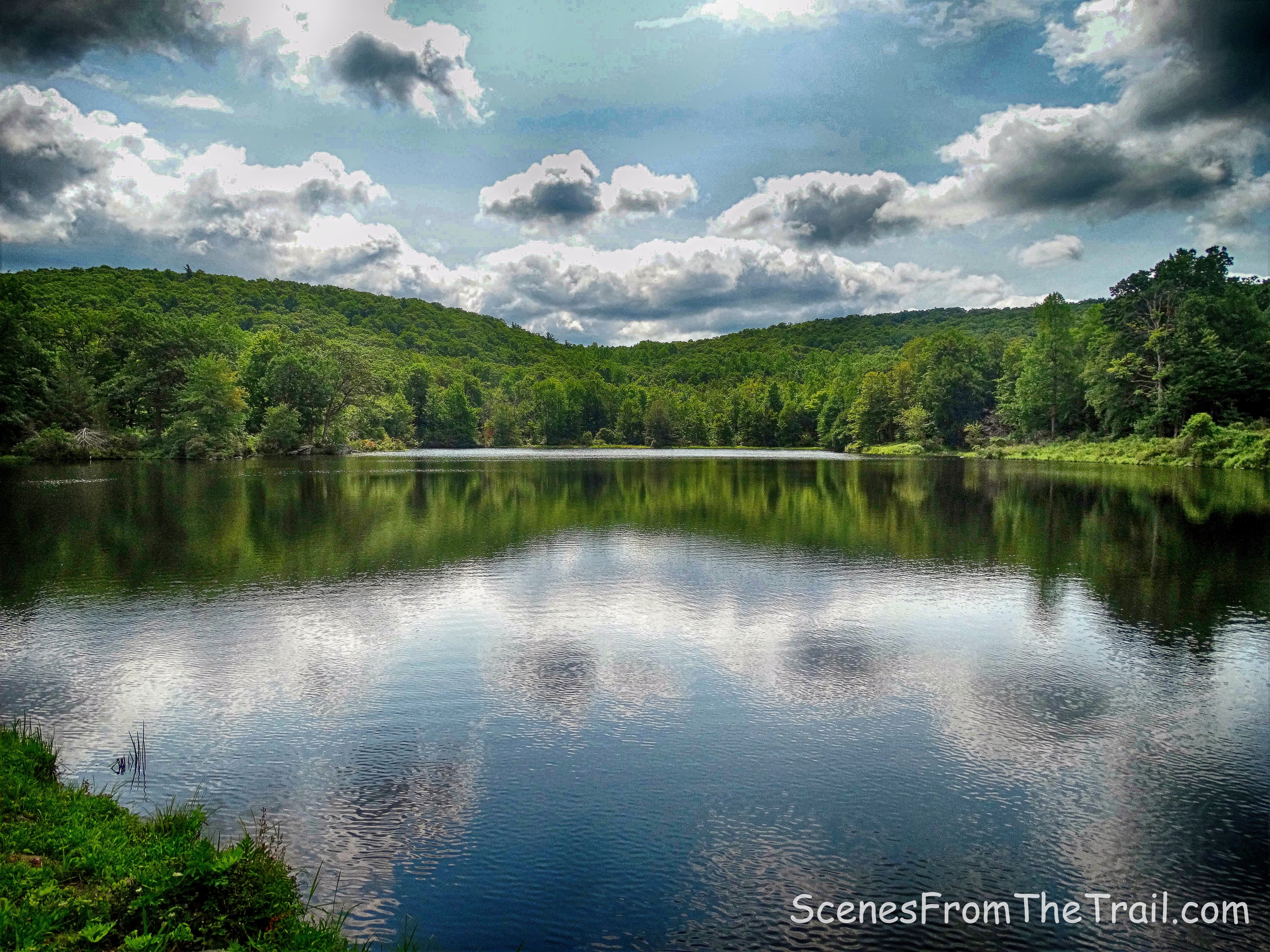 Aleck Meadow Reservoir