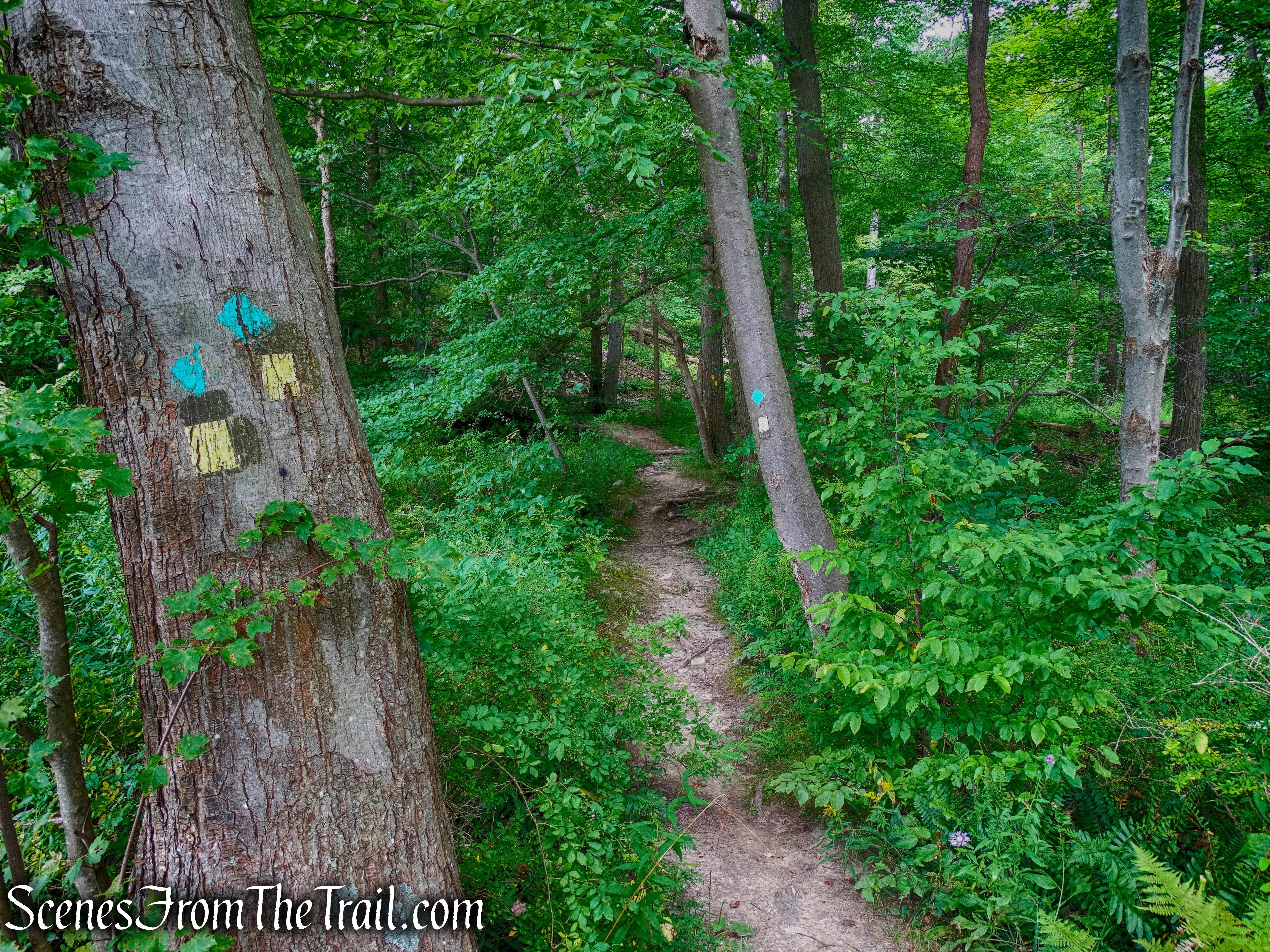 joint Stillman/Highlands Trail