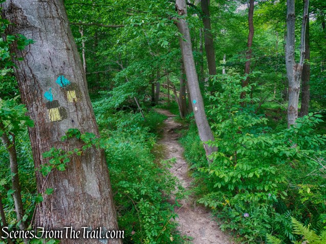 joint Stillman/Highlands Trail