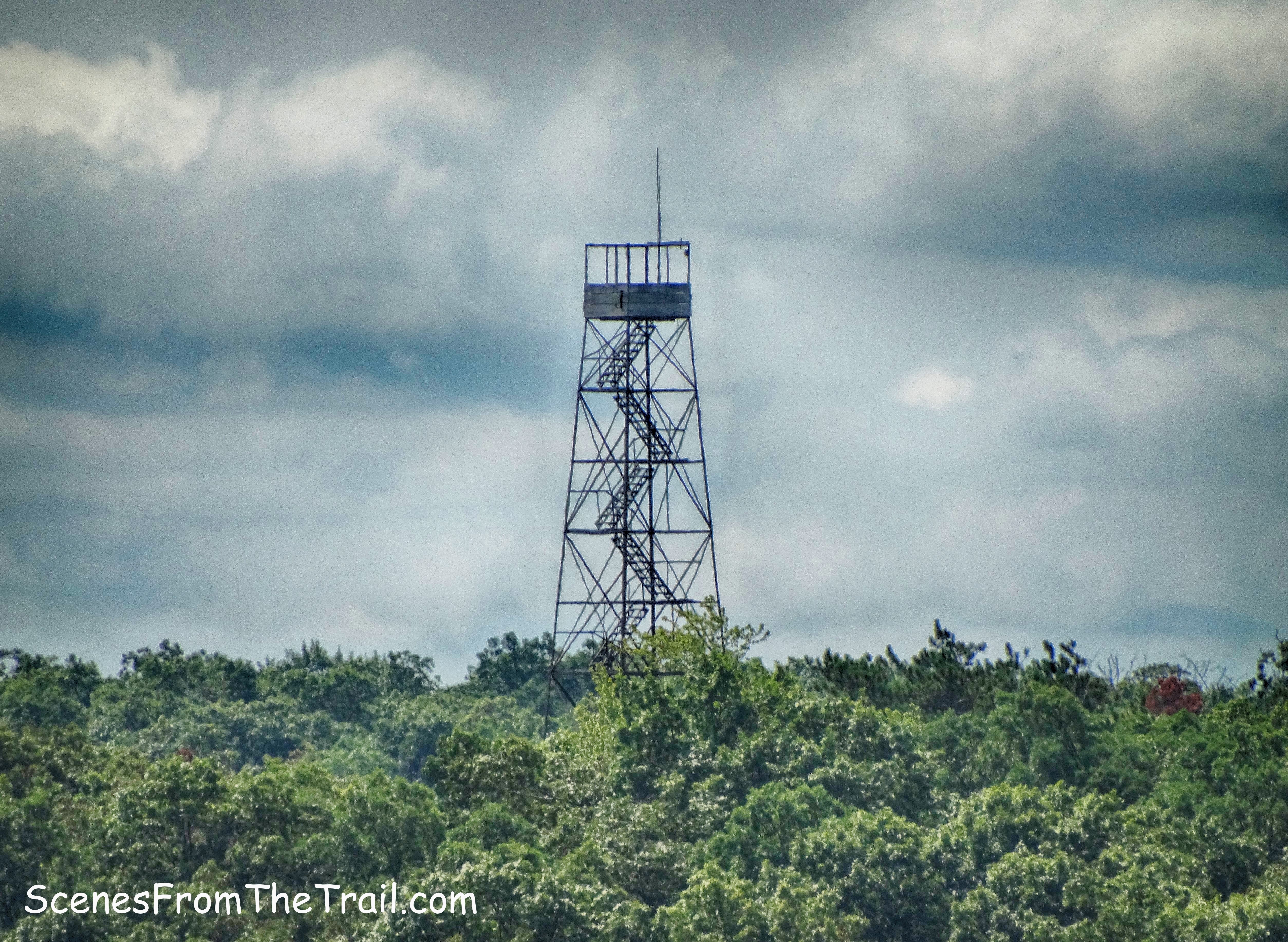 Black Rock Forest Fire Tower
