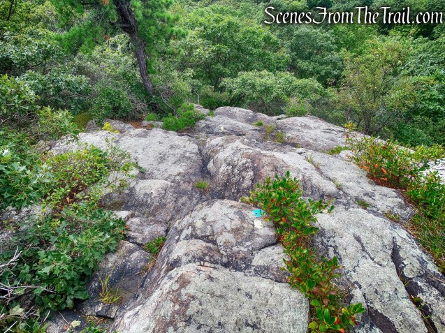 joint Stillman/Highlands Trail