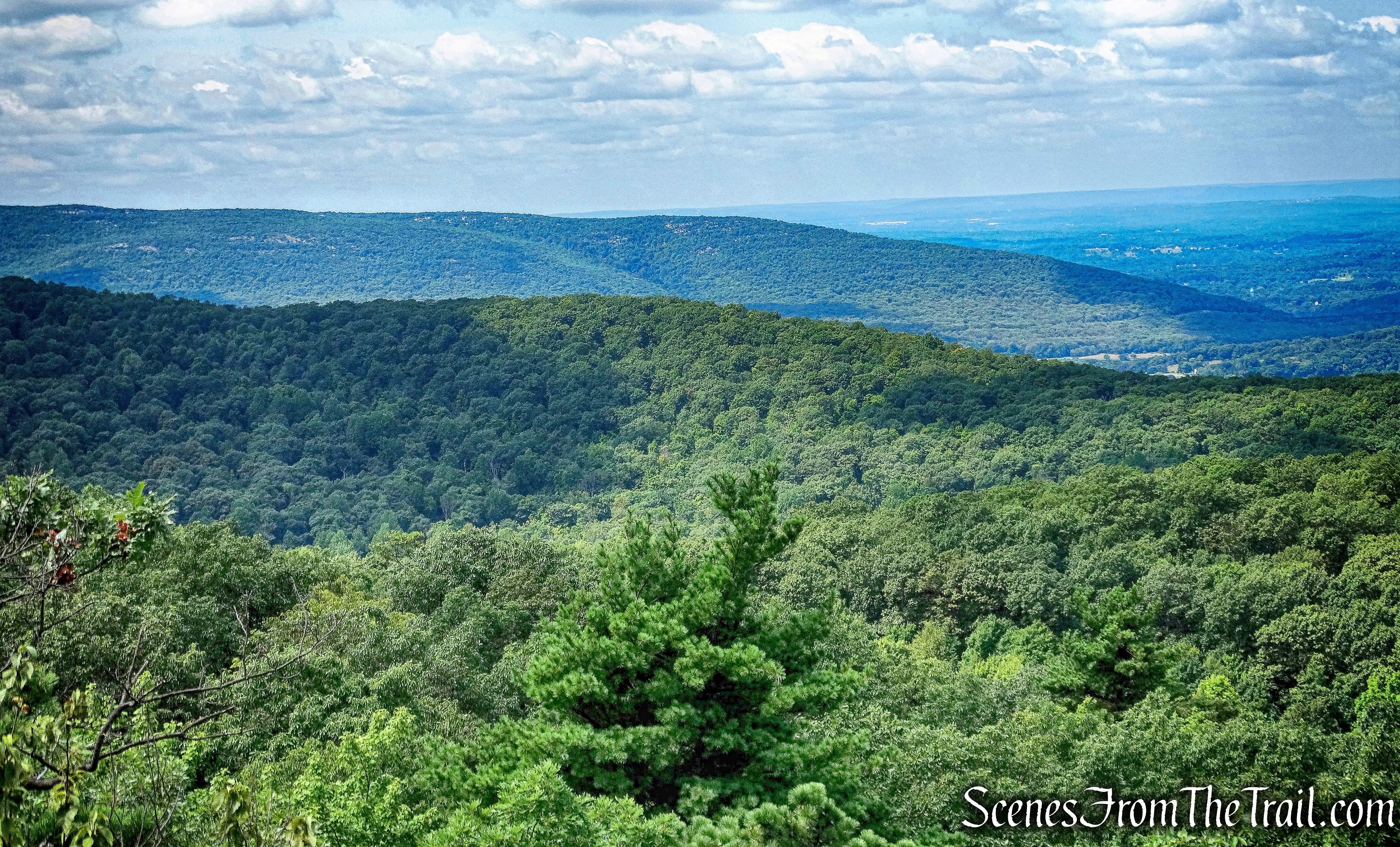Schunemunk Mountain as viewed from Black Rock Mountain