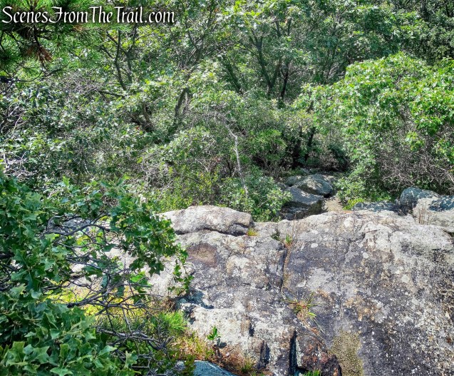 joint Stillman/Highlands Trail