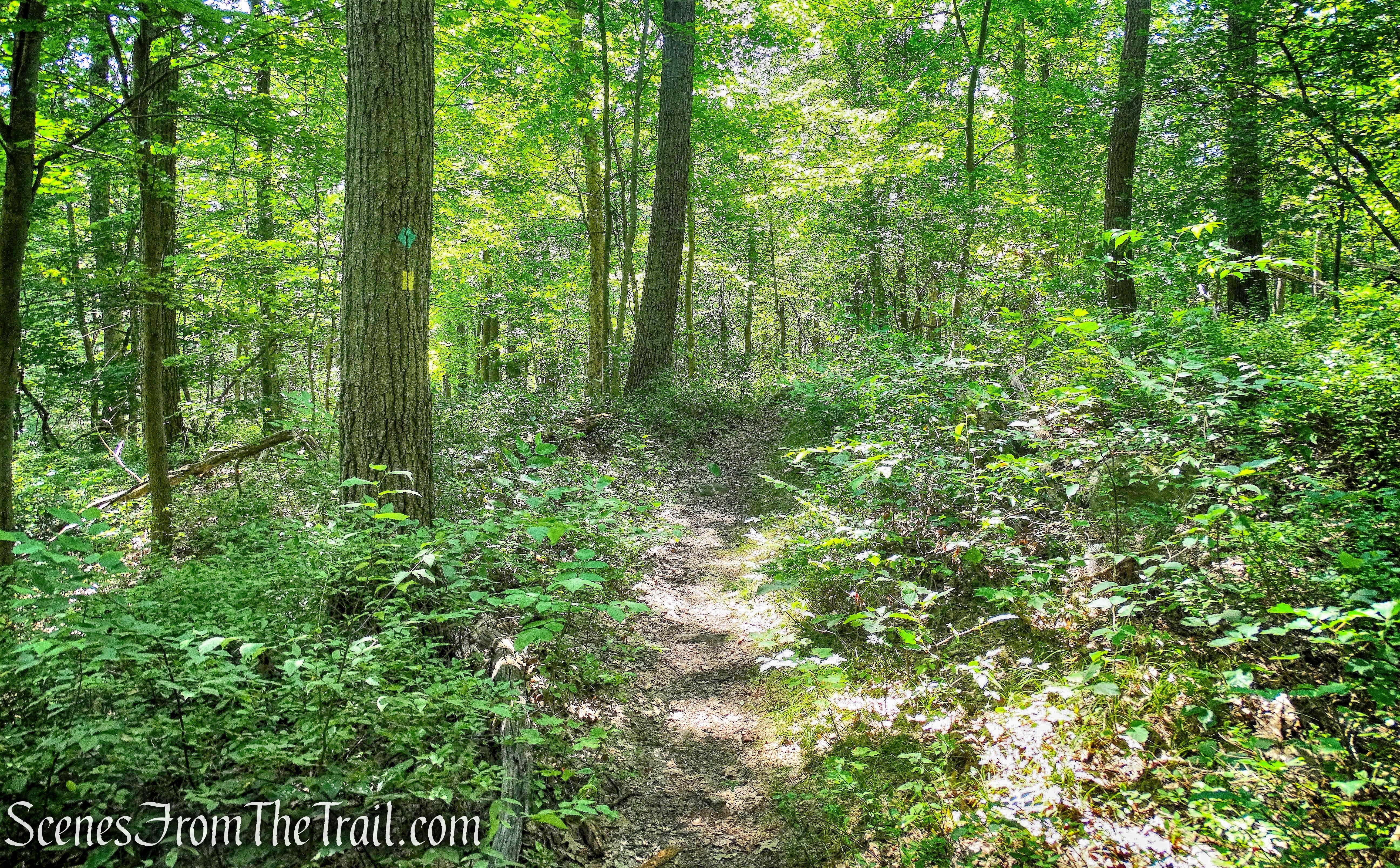 joint Stillman/Highlands Trail