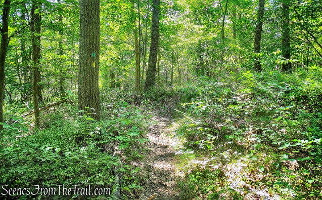 joint Stillman/Highlands Trail