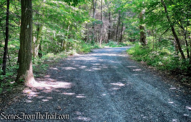 Turn right on the white-blazed Black Rock Hollow Trail