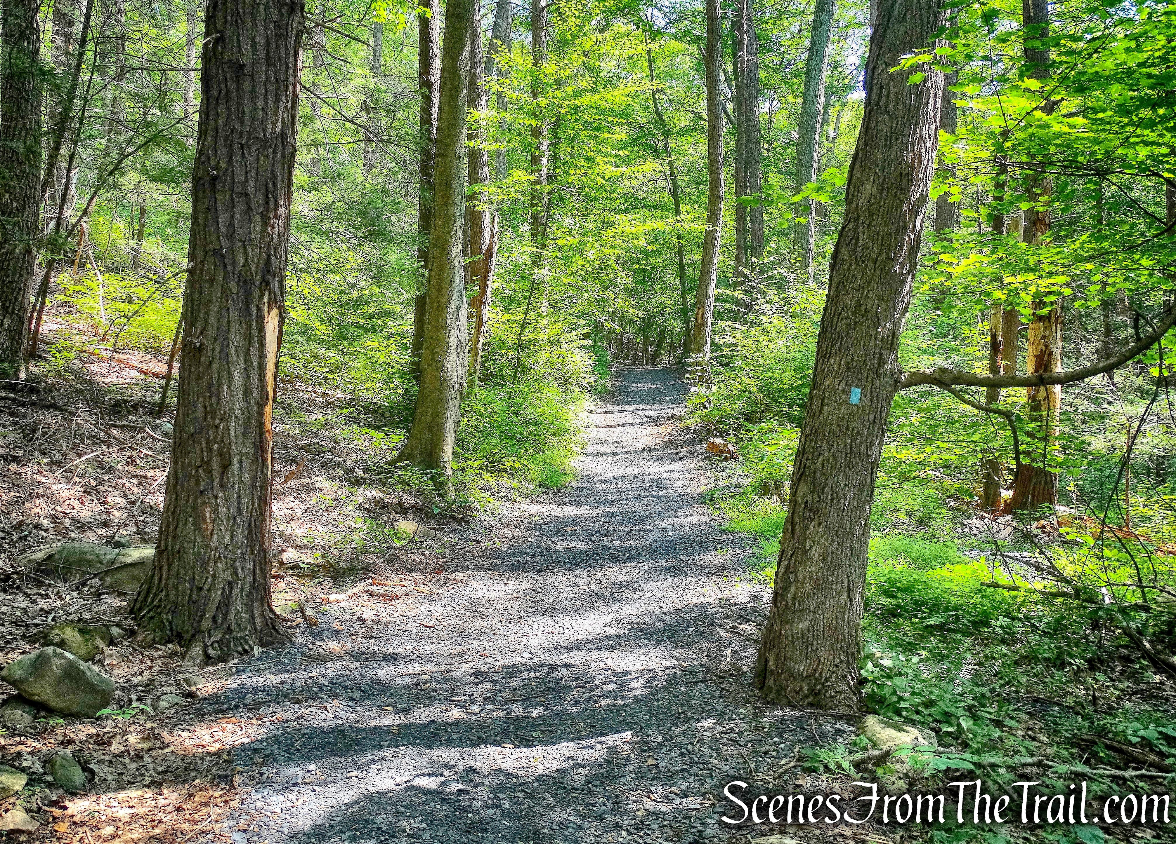 blue-blazed Reservoir Trail