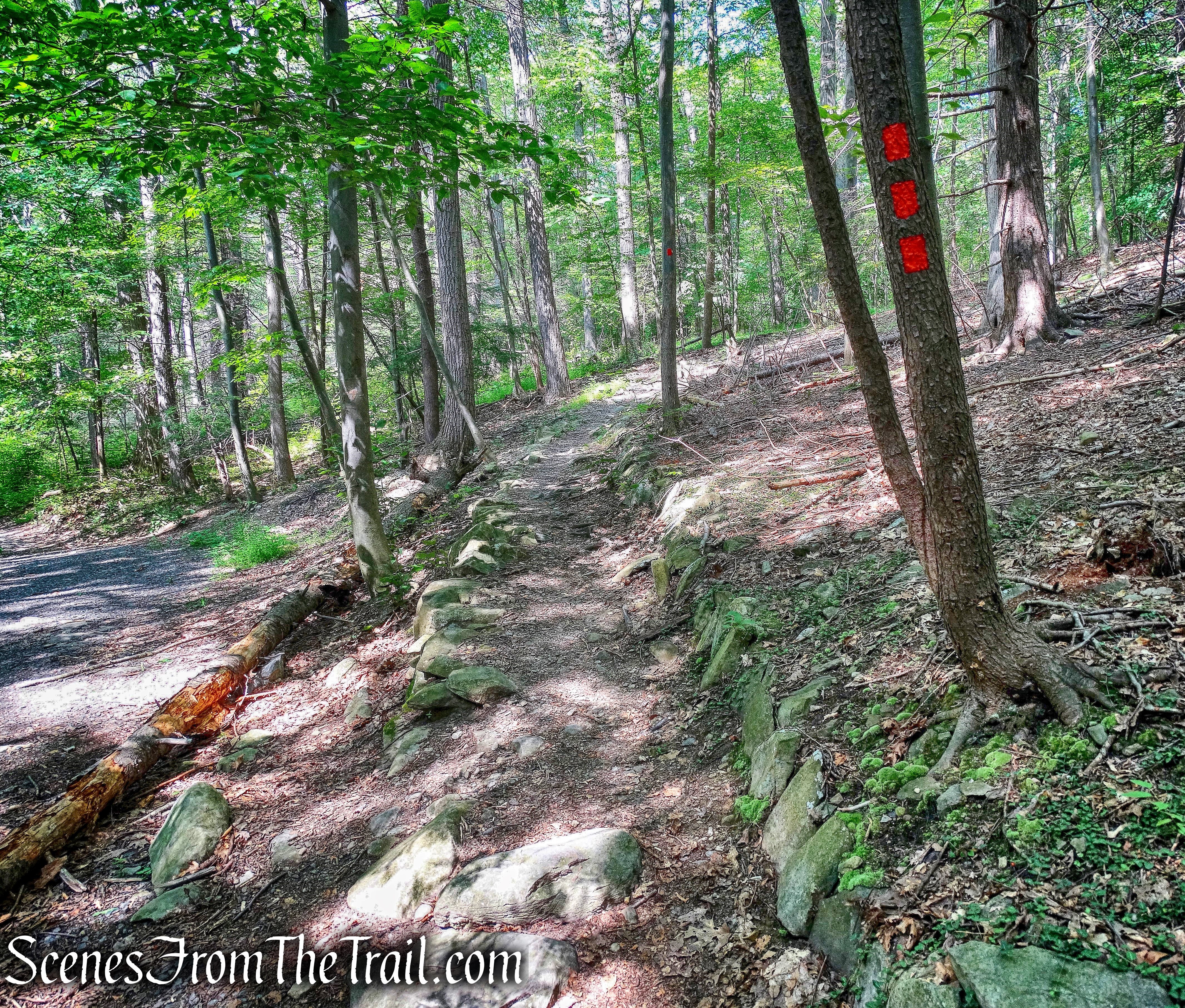 sharp left on red-blazed Duggan Trail