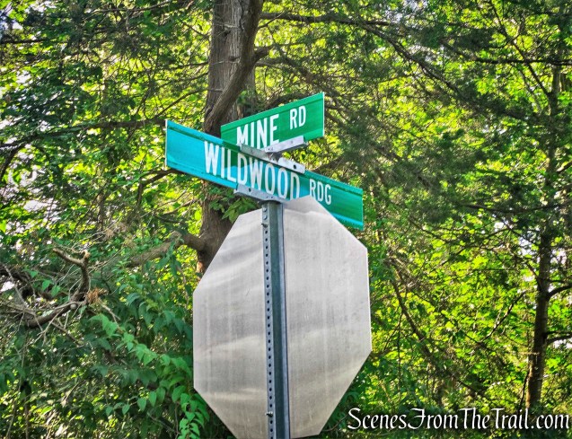 intersection with Wildwood Ridge