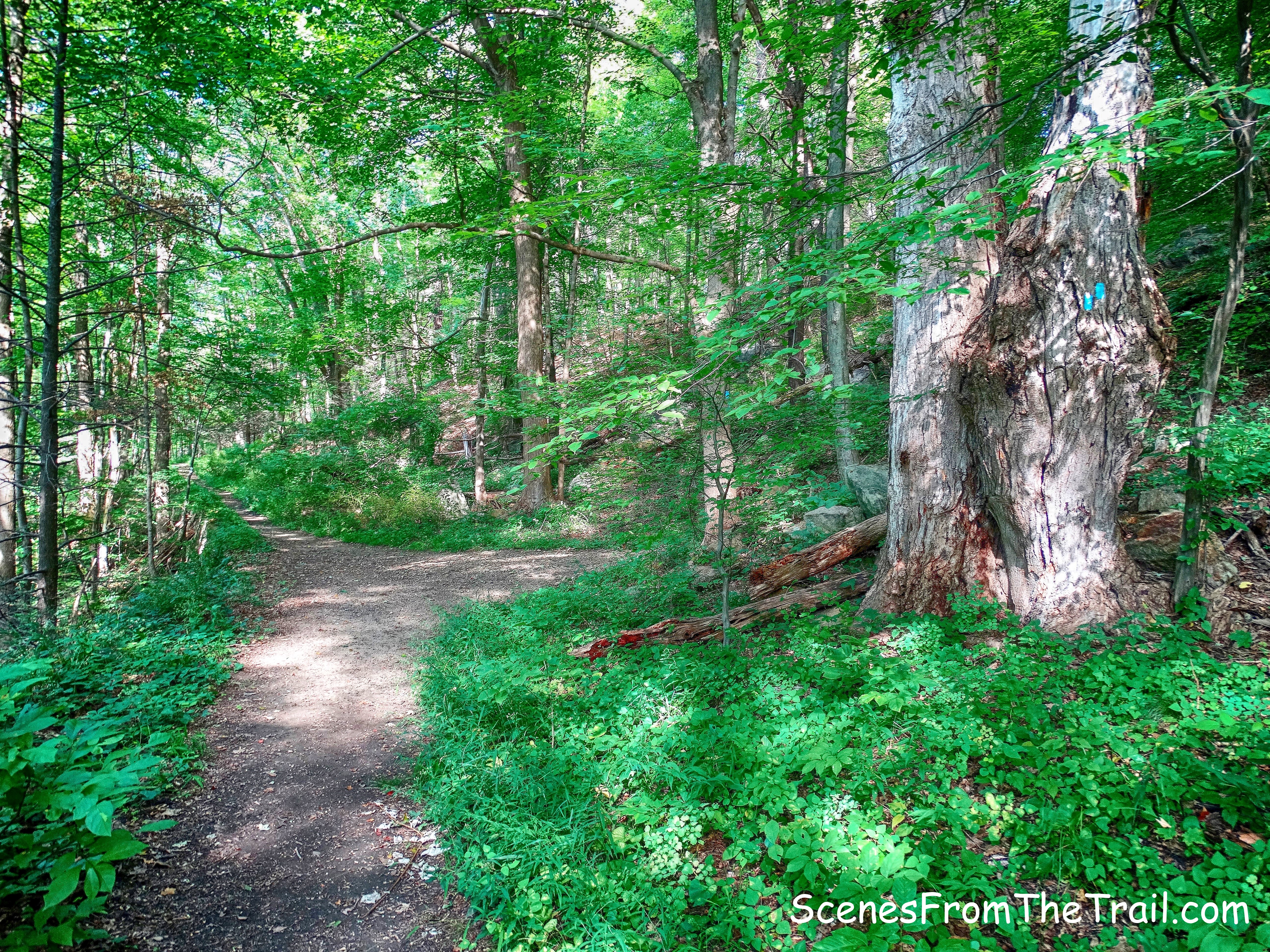 sharp right - Timp-Torne Trail