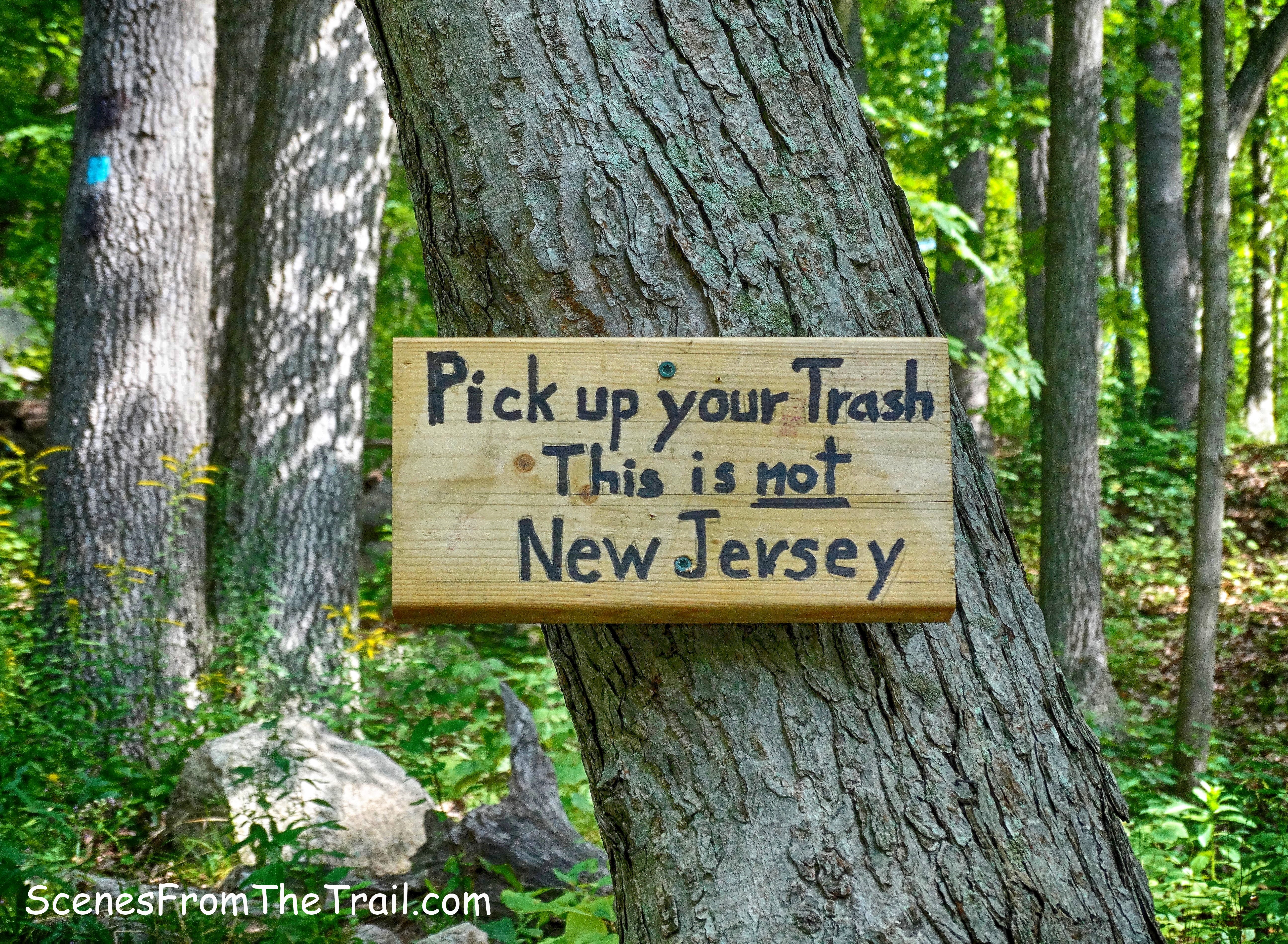 wooden sign on a tree