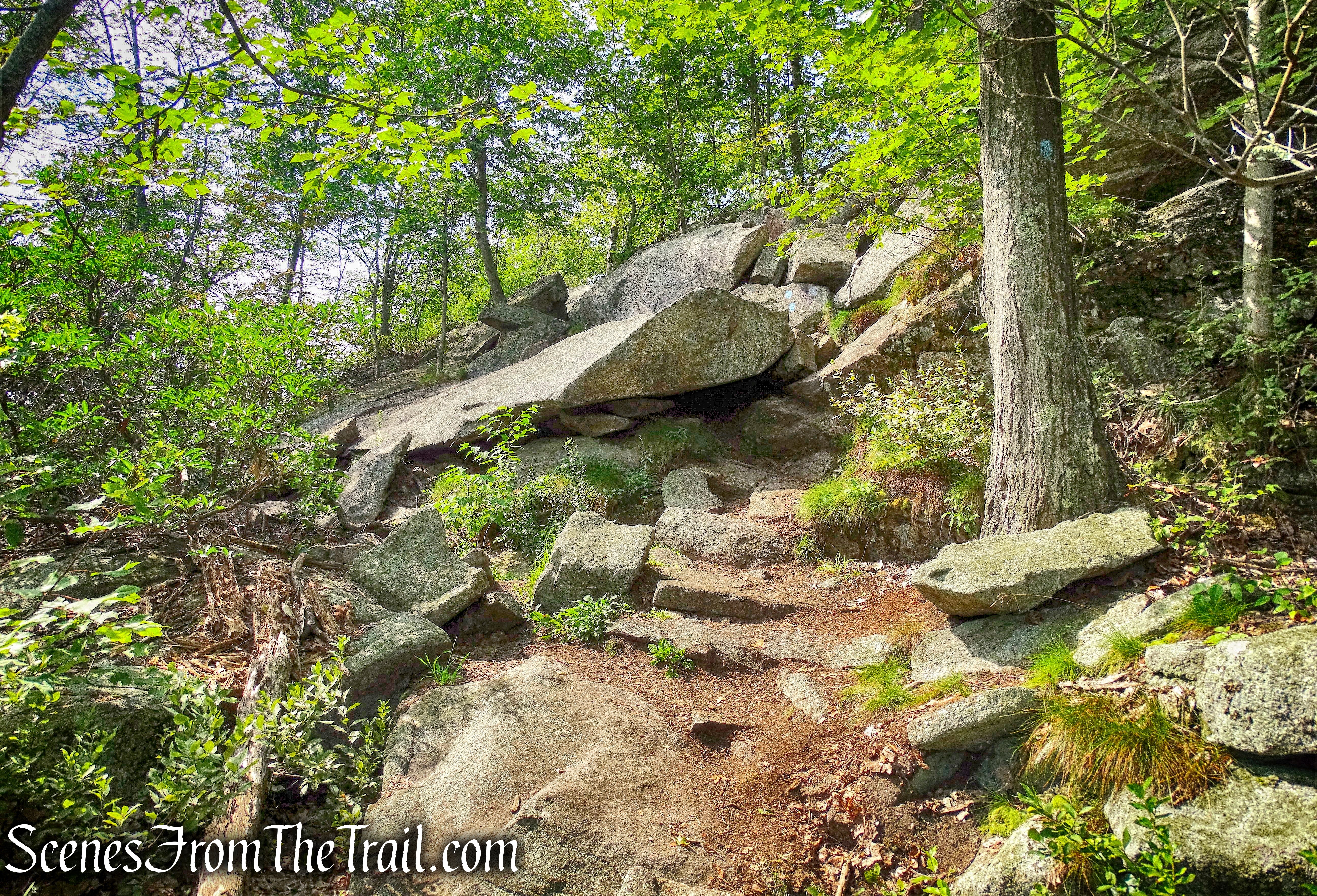 scramble - Timp-Torne Trail