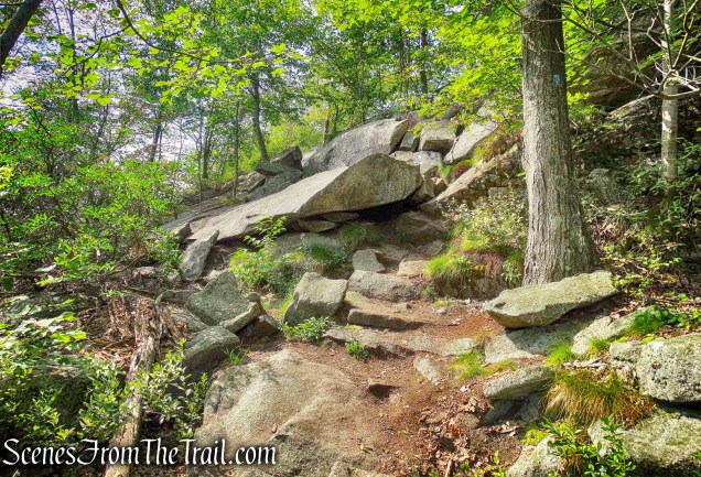 scramble - Timp-Torne Trail