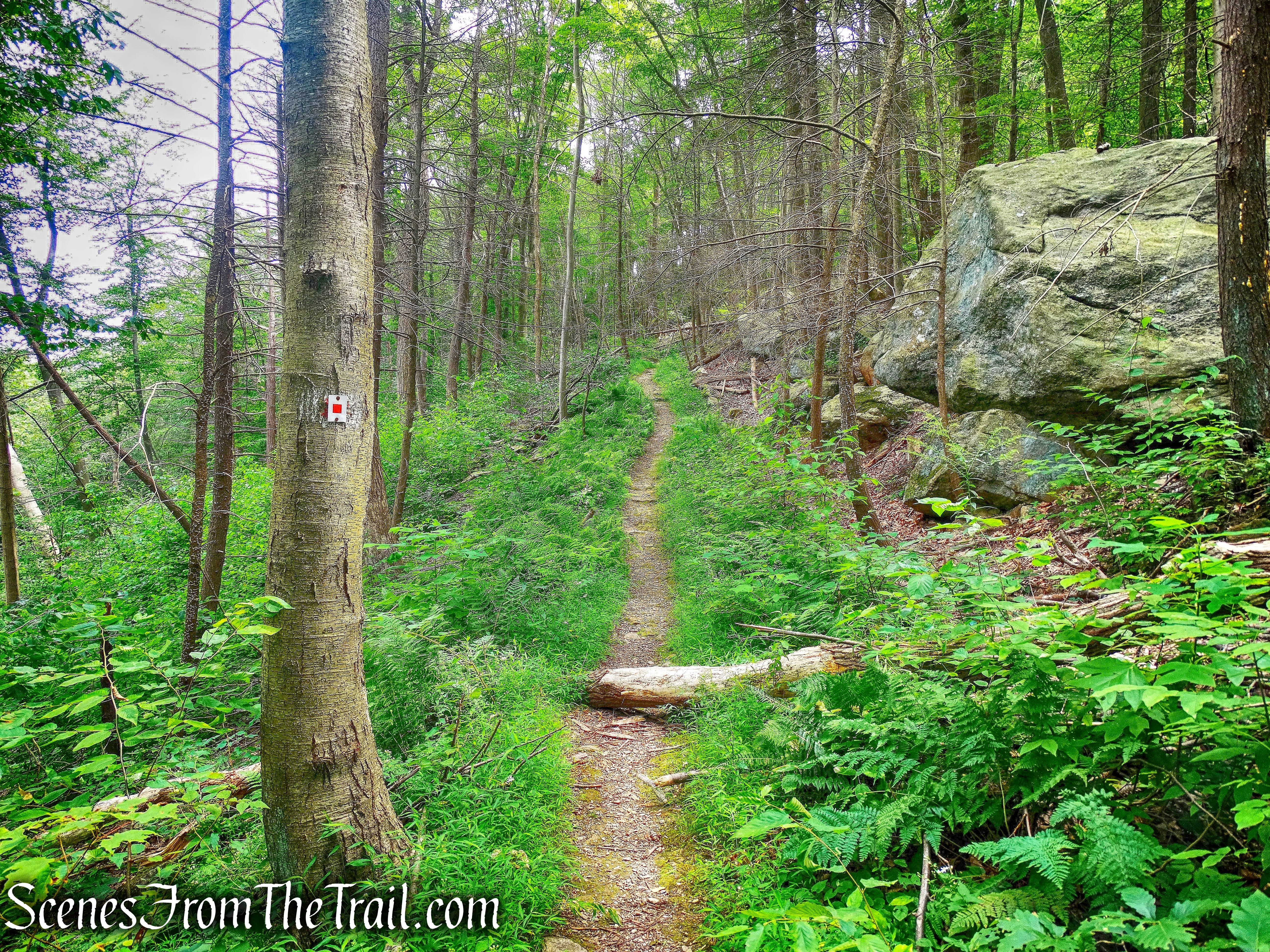 Popolopen Gorge Trail