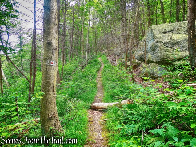 Popolopen Gorge Trail
