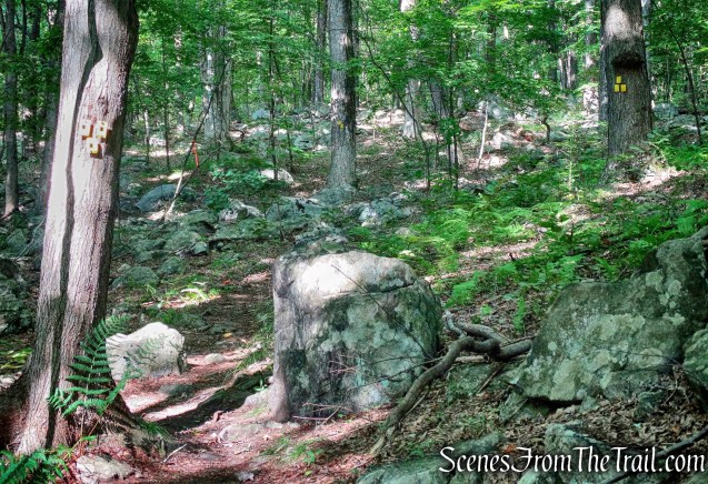 stay right at junction with the yellow-blazed Manaticut Point Trail