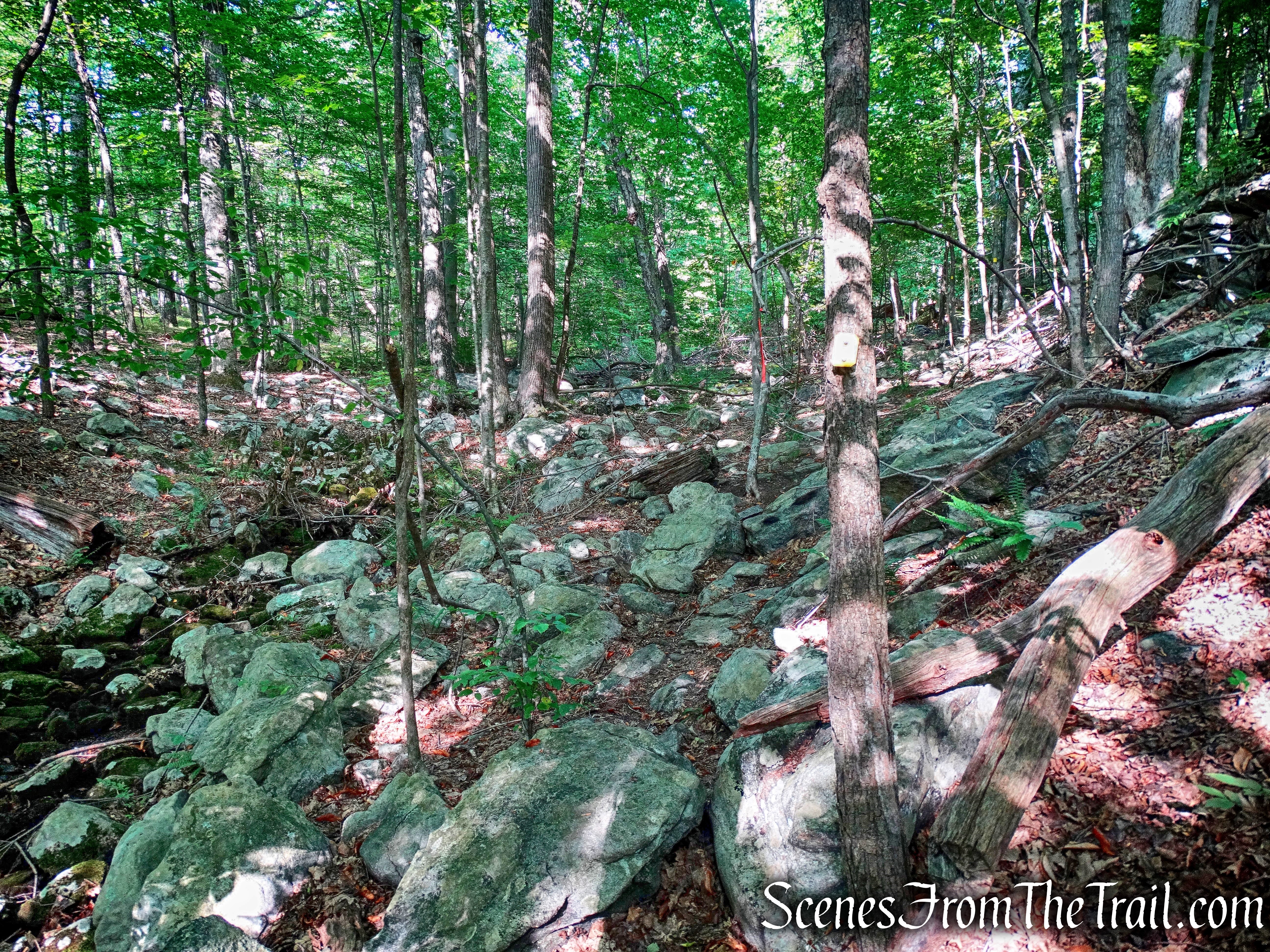 Manaticut Point Trail
