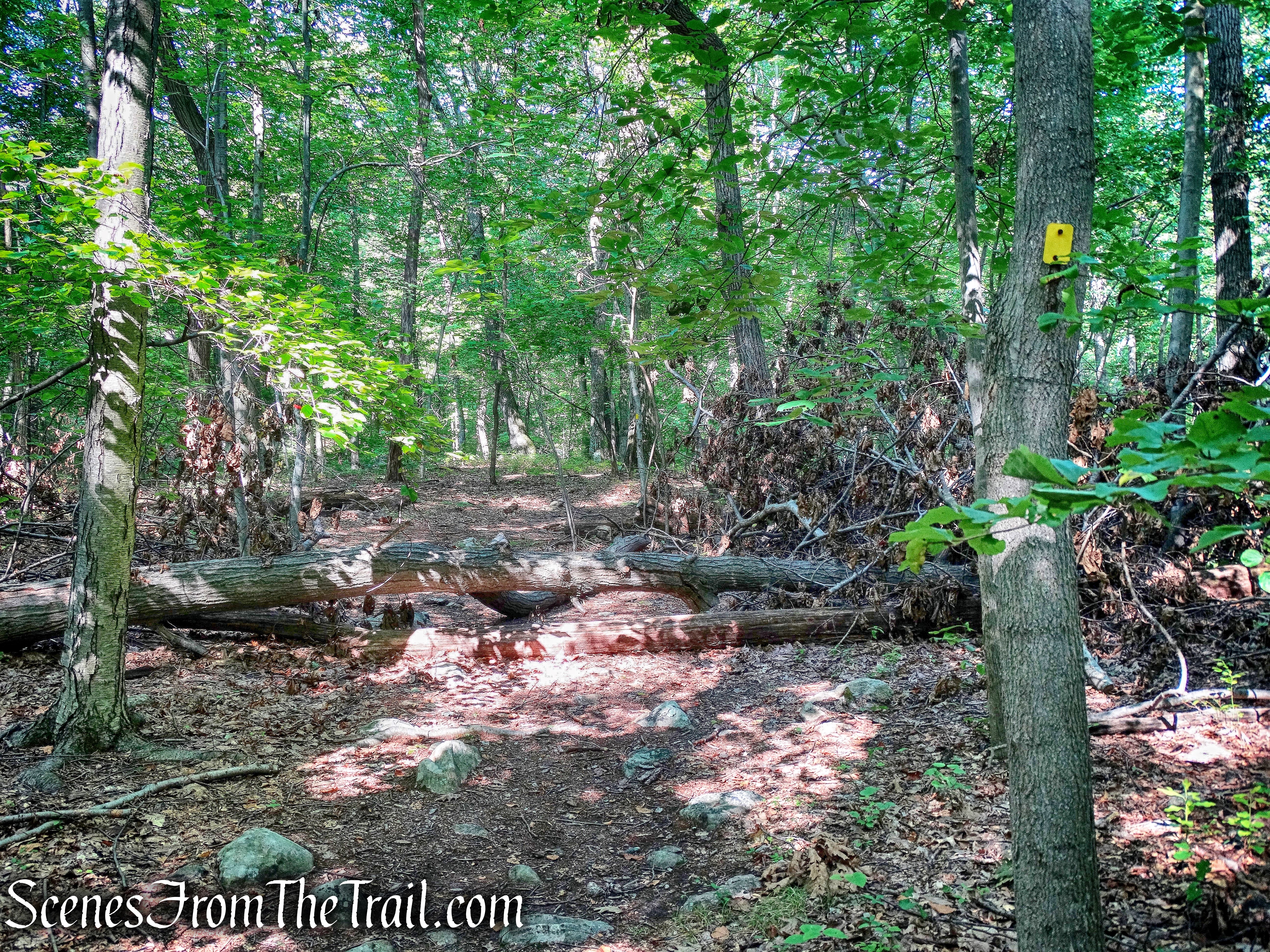 Manaticut Point Trail