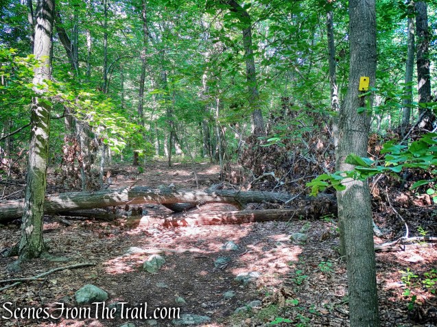 Manaticut Point Trail
