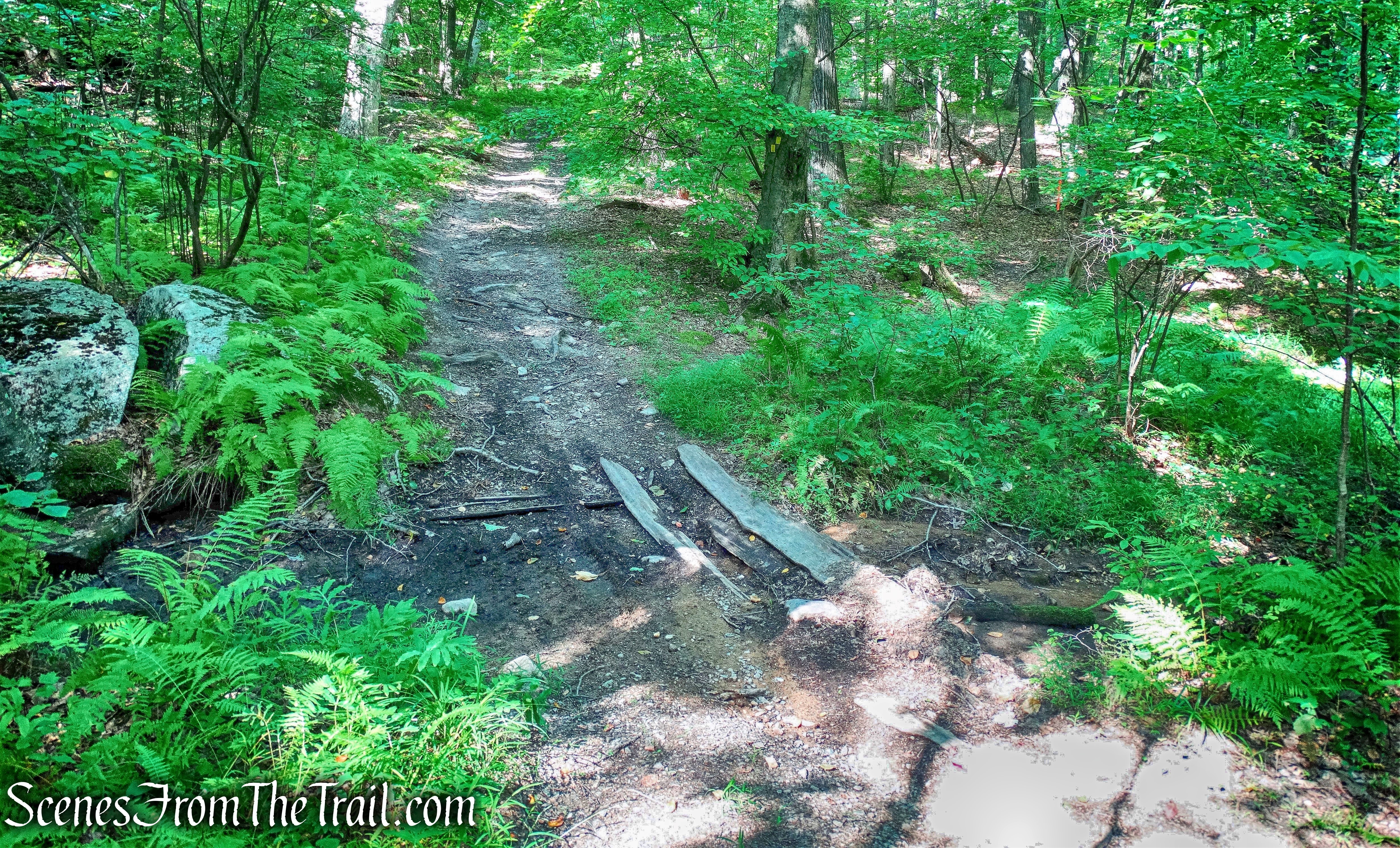 dry inlet stream of Lake Sonoma