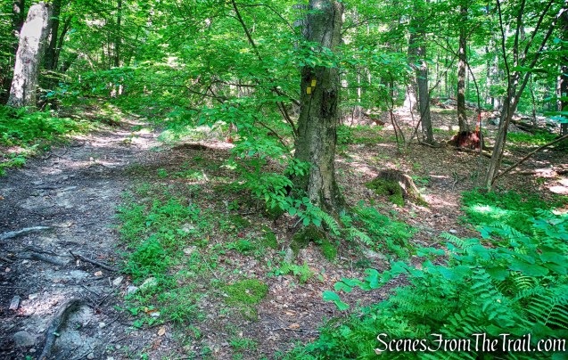 Manaticut Point Trail