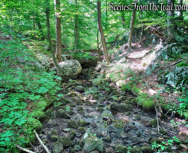 dry stream on Manaticut Point Trail