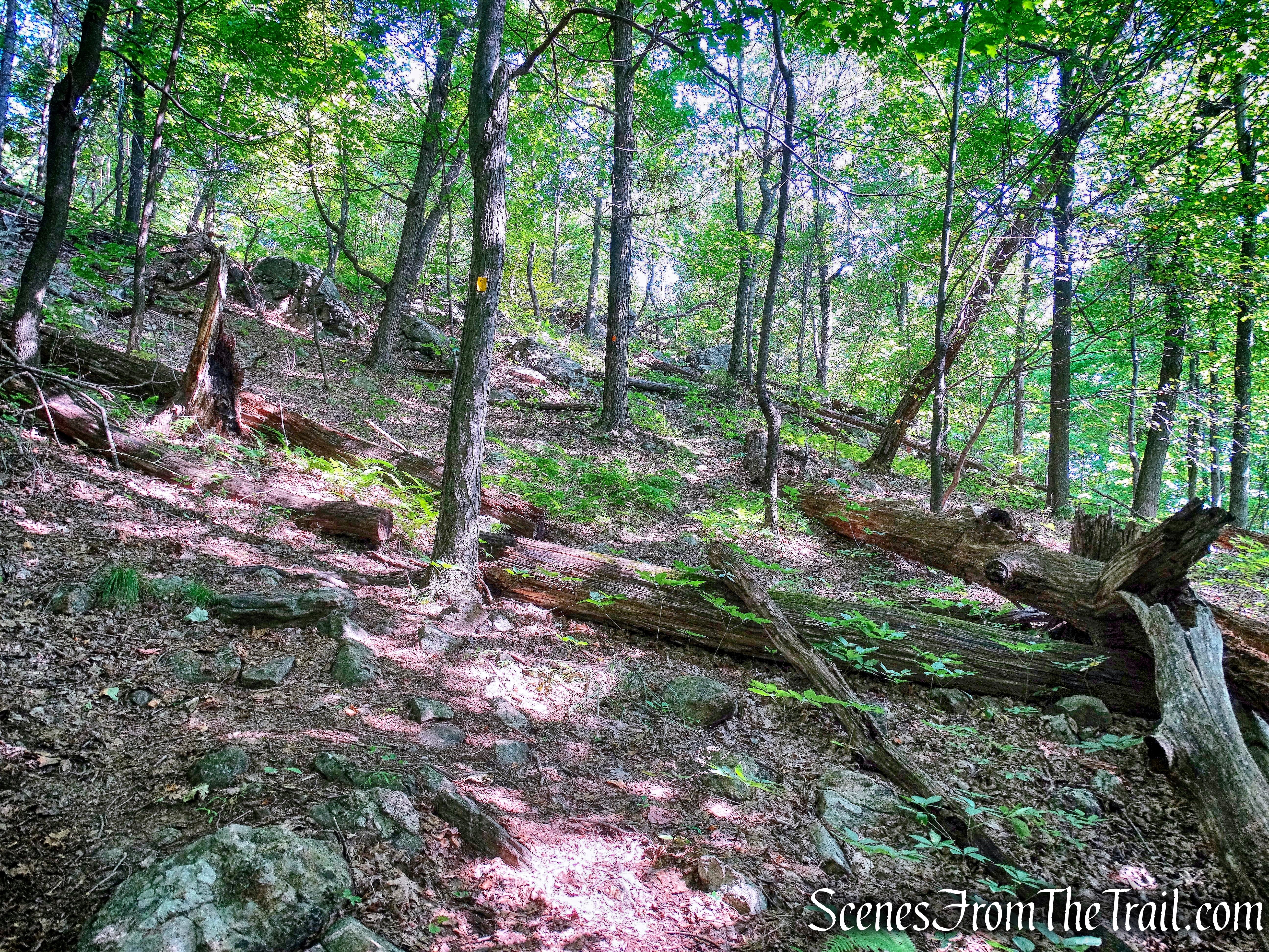 Manaticut Point Trail