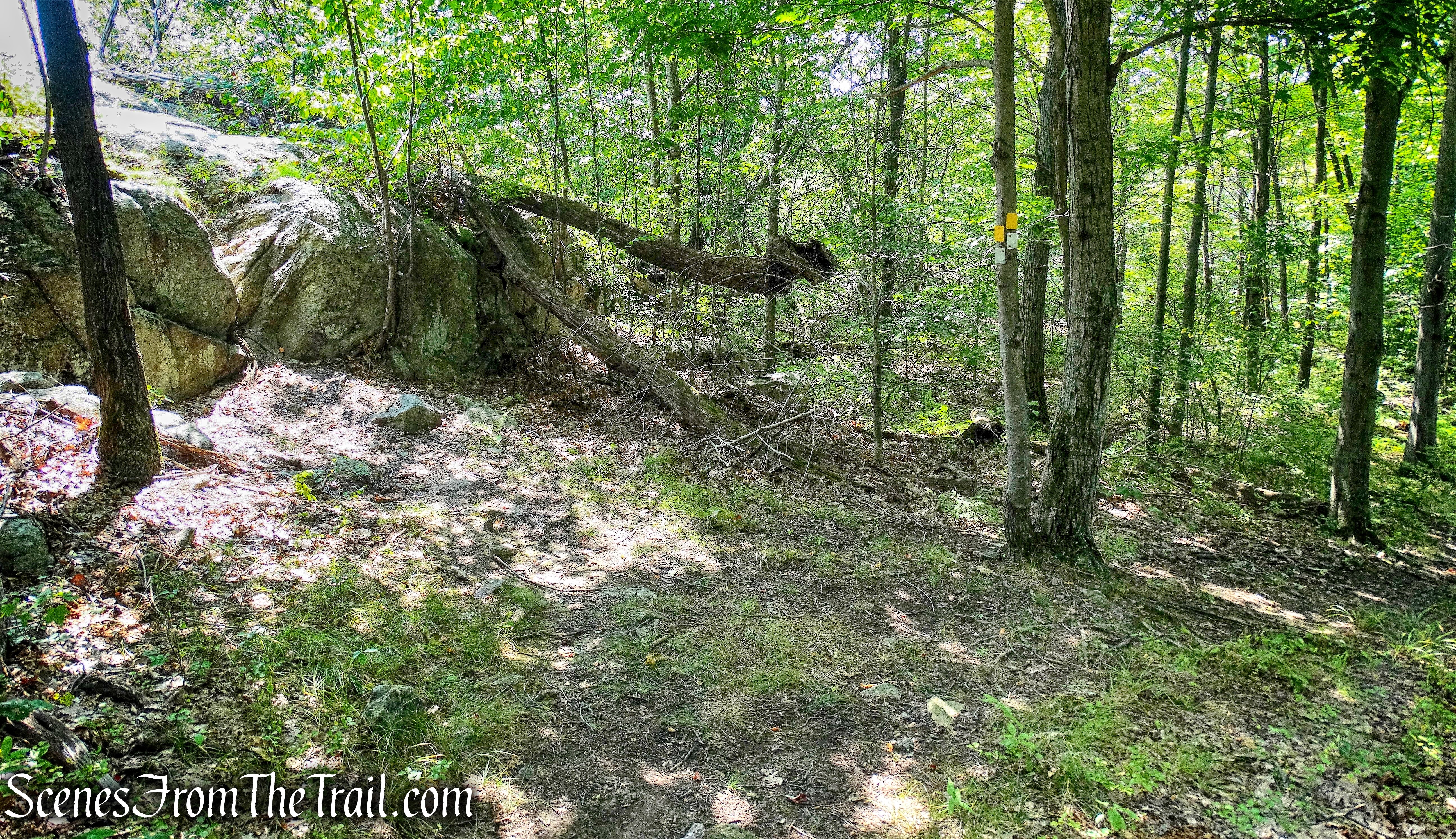 turn left to Overlook Rock