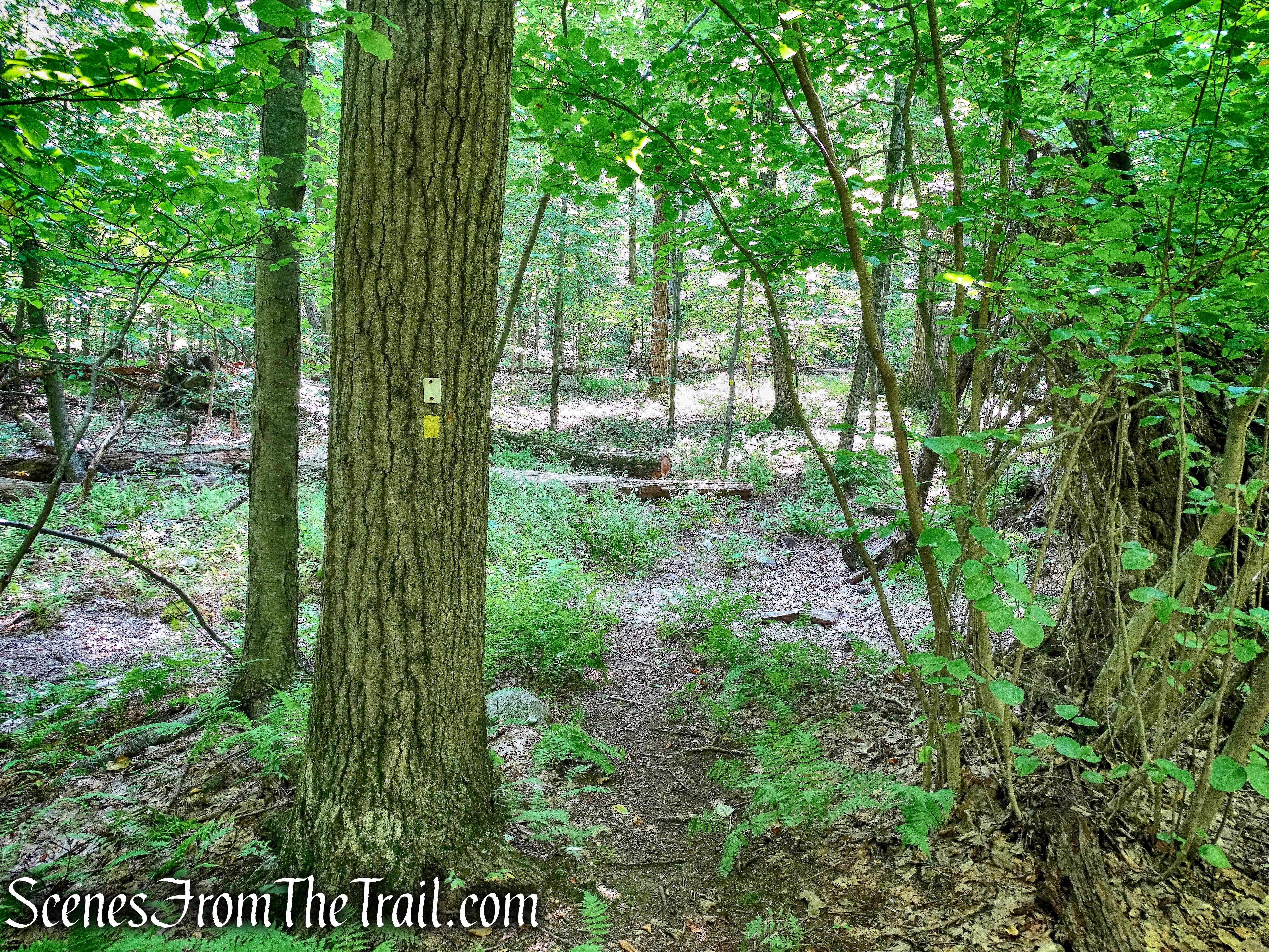 joint Overlook Rock/Manaticut Point Trails