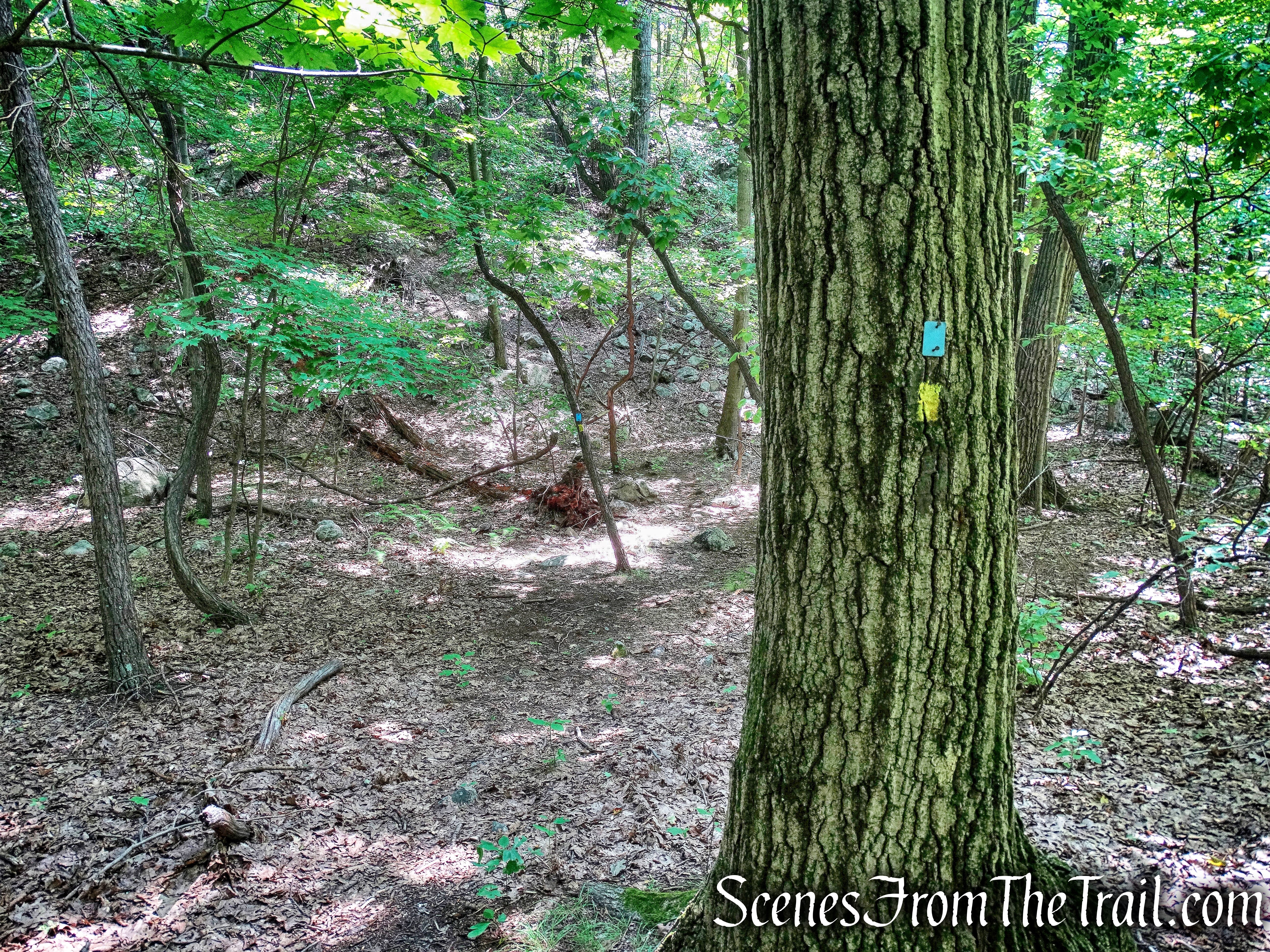 joint Hewitt-Butler/Manaticut Point Trails