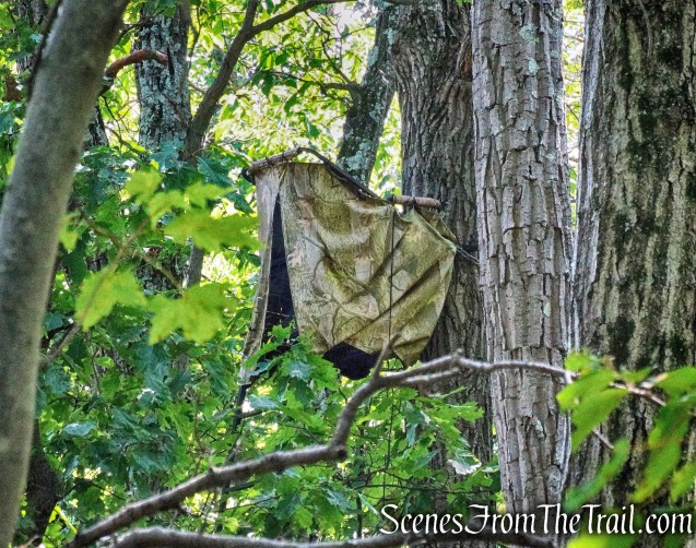 empty tree stand